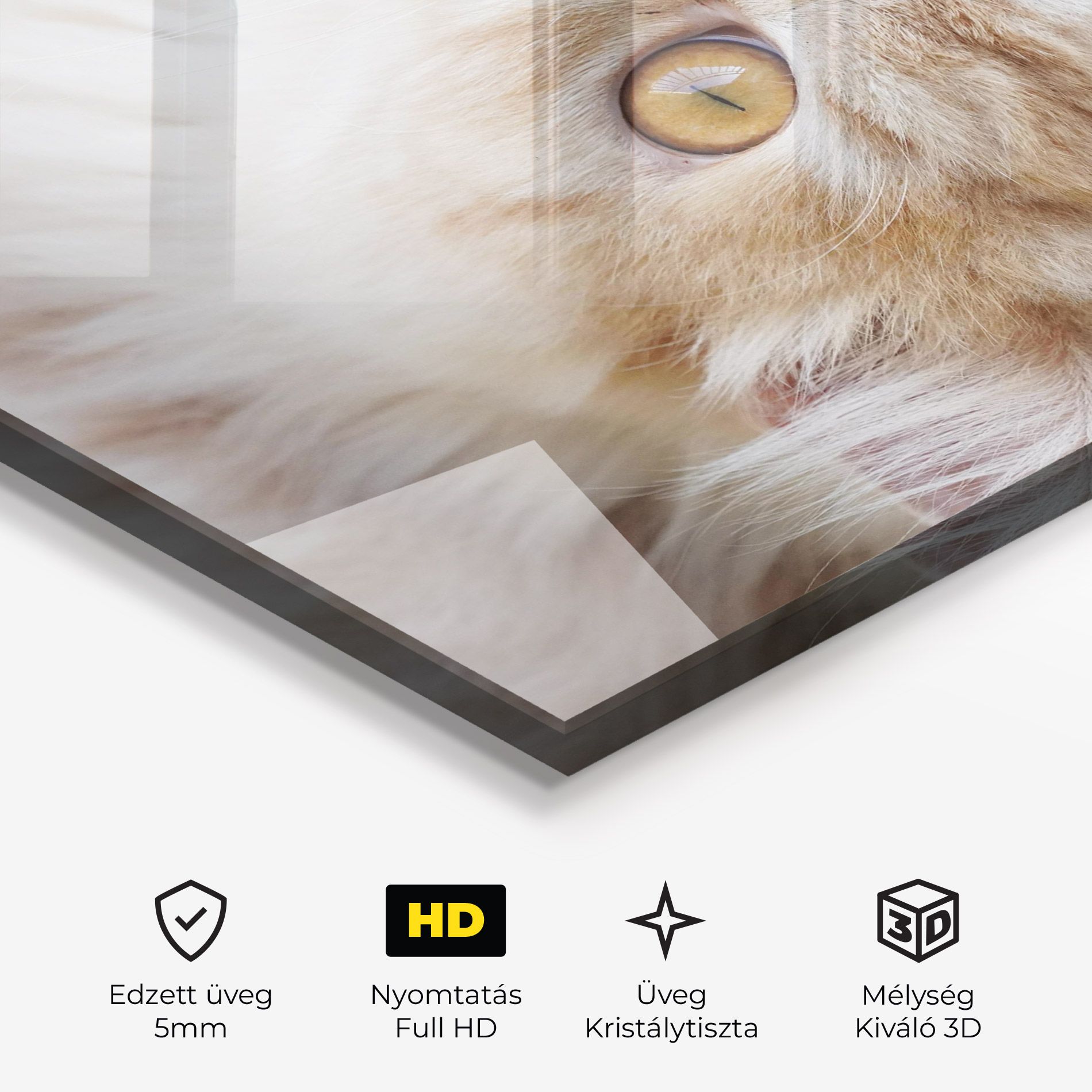 Close Up Yellow Eyes Cat mockup 3