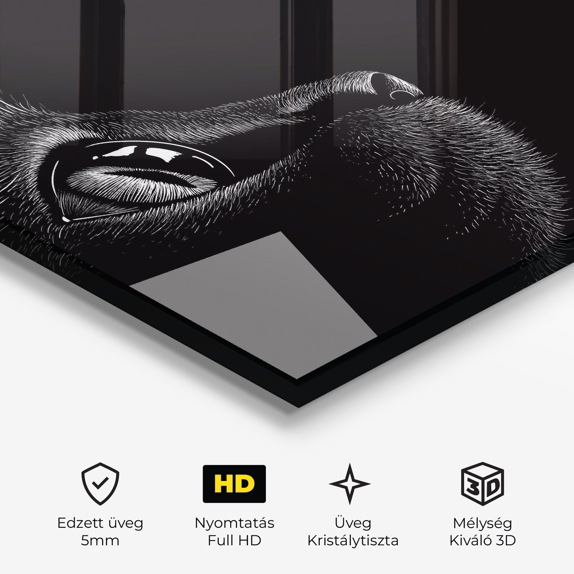 Glass Eye Cat mockup 3