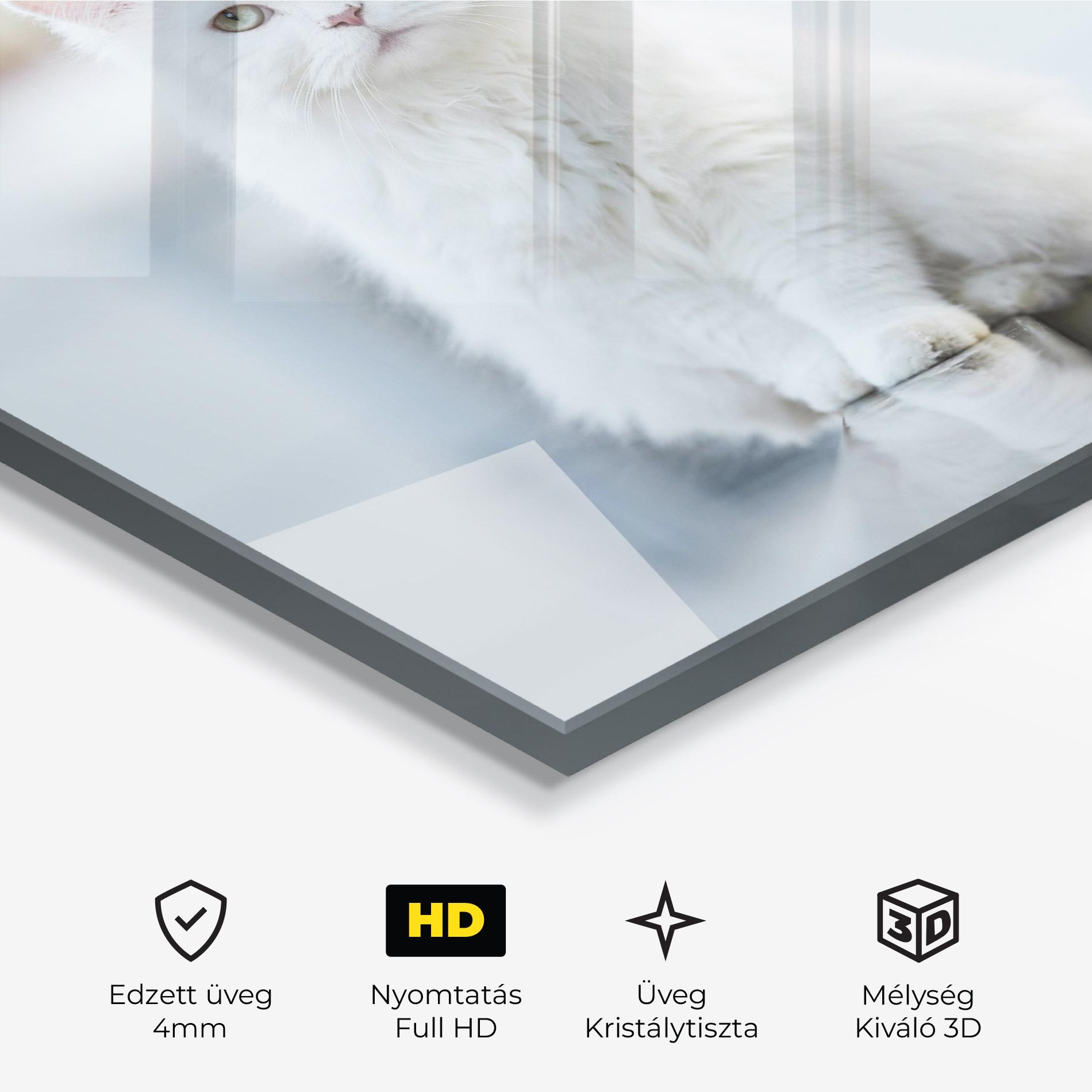 Üvegkép Big White Cat mockup 3