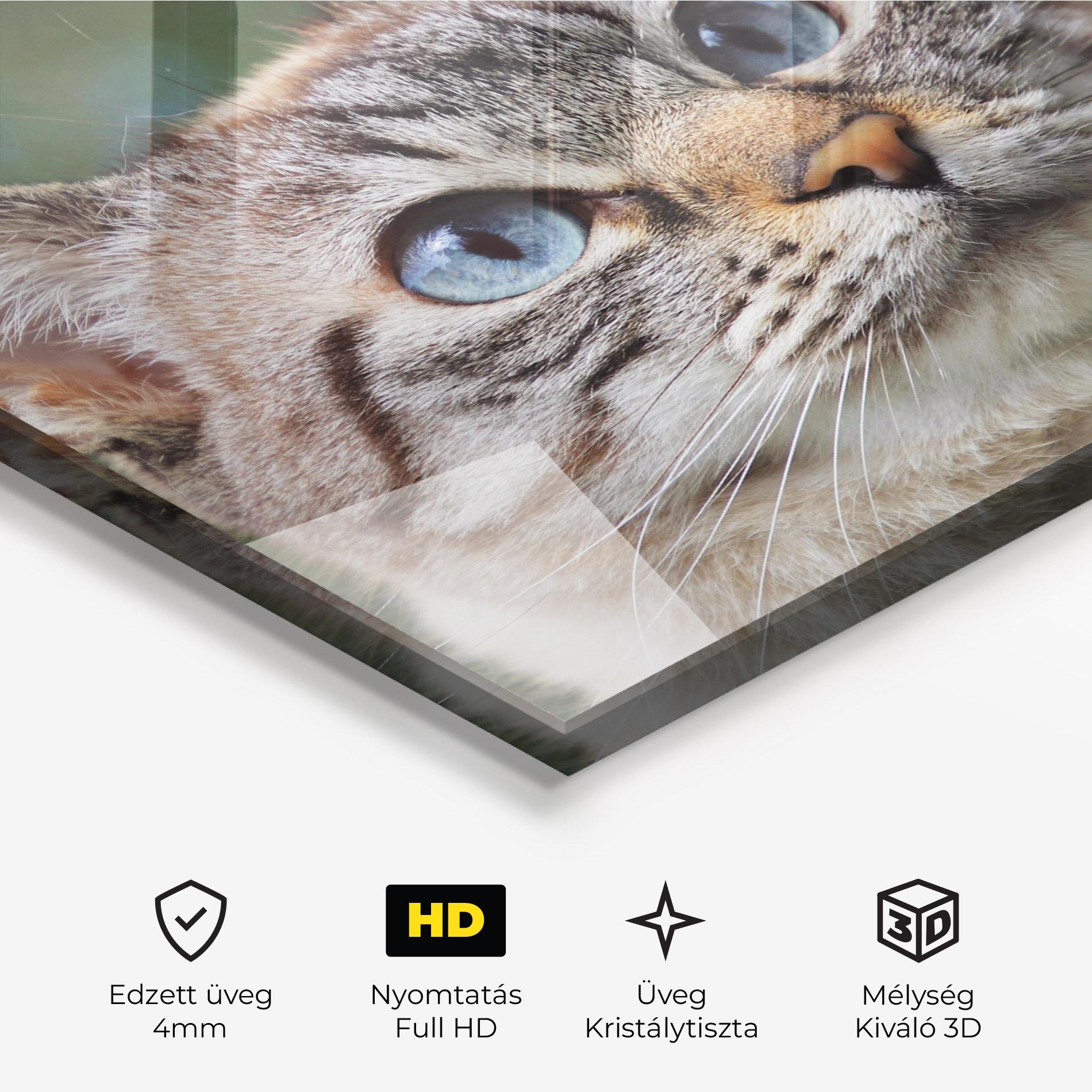 Üvegkép Blue Eyes Cutie mockup 3