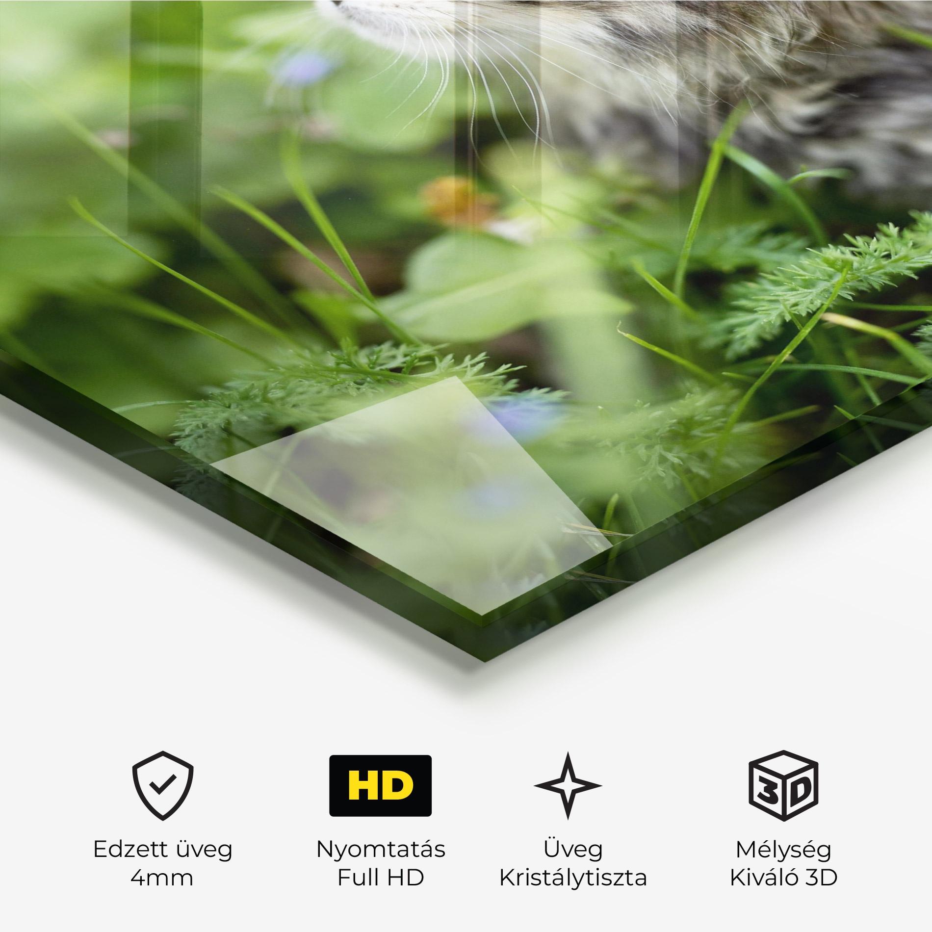 Üvegkép Brown Baby Cat mockup 3