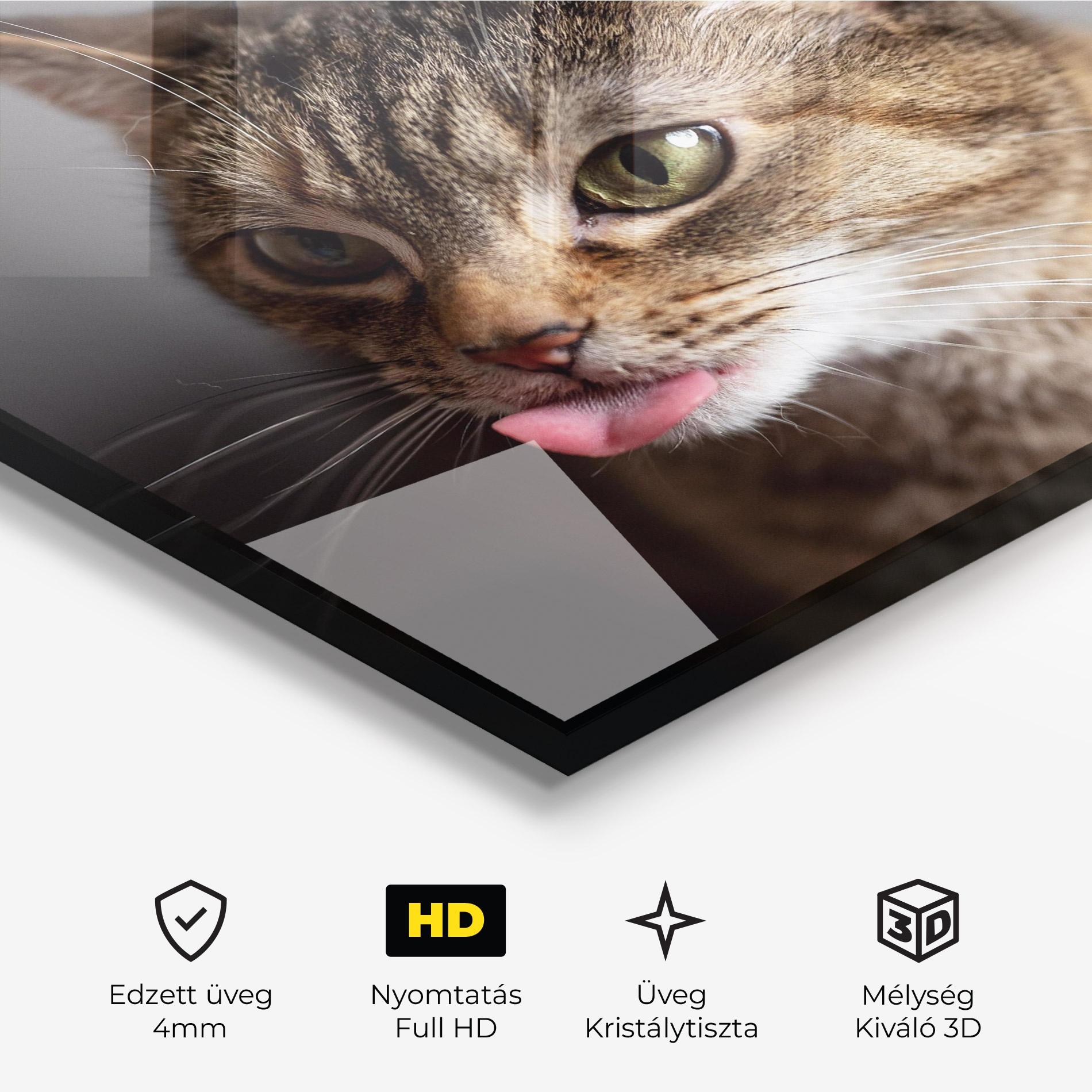 Üvegkép Brown Green Eyes Cat mockup 3