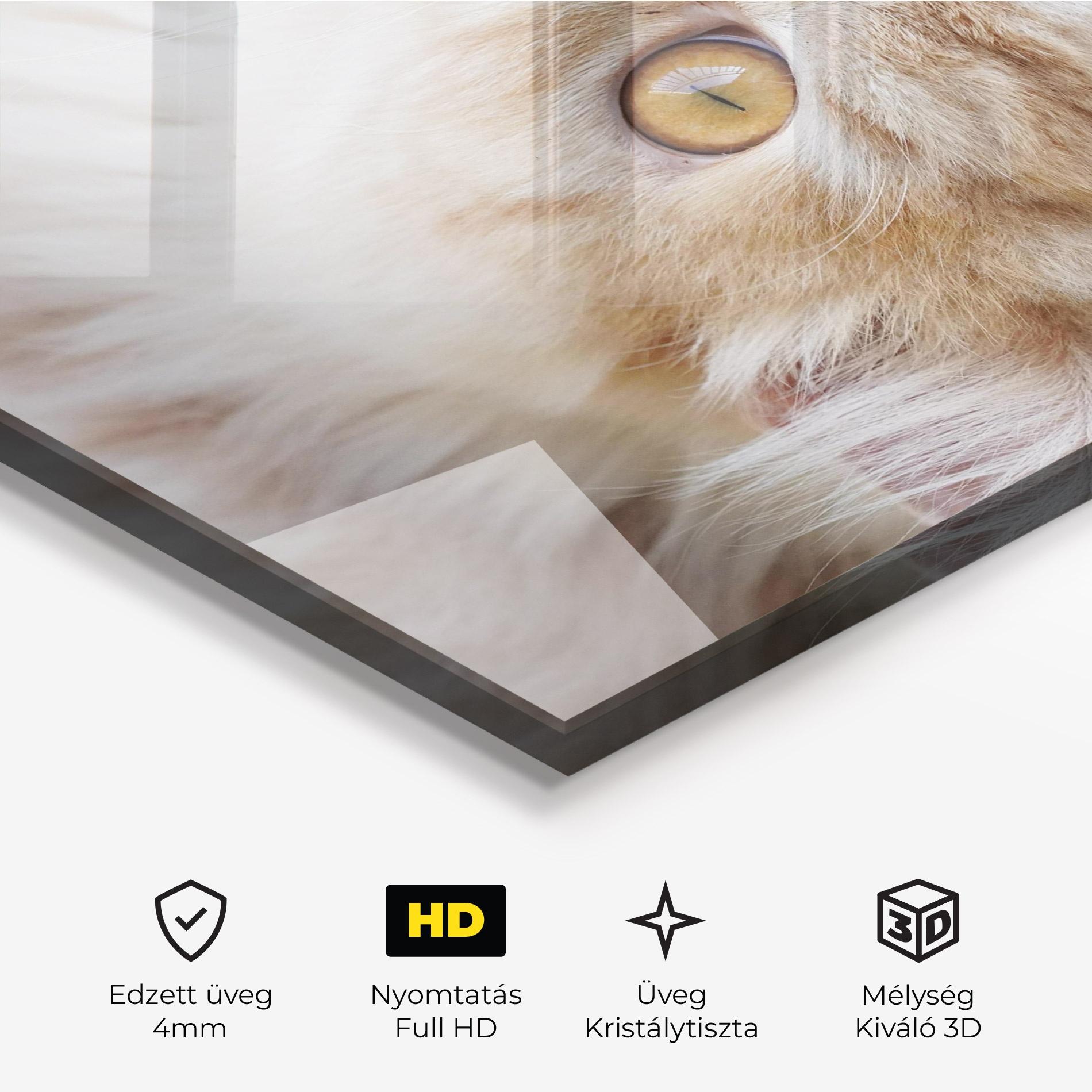 Üvegkép Close Up Yellow Eyes Cat mockup 3
