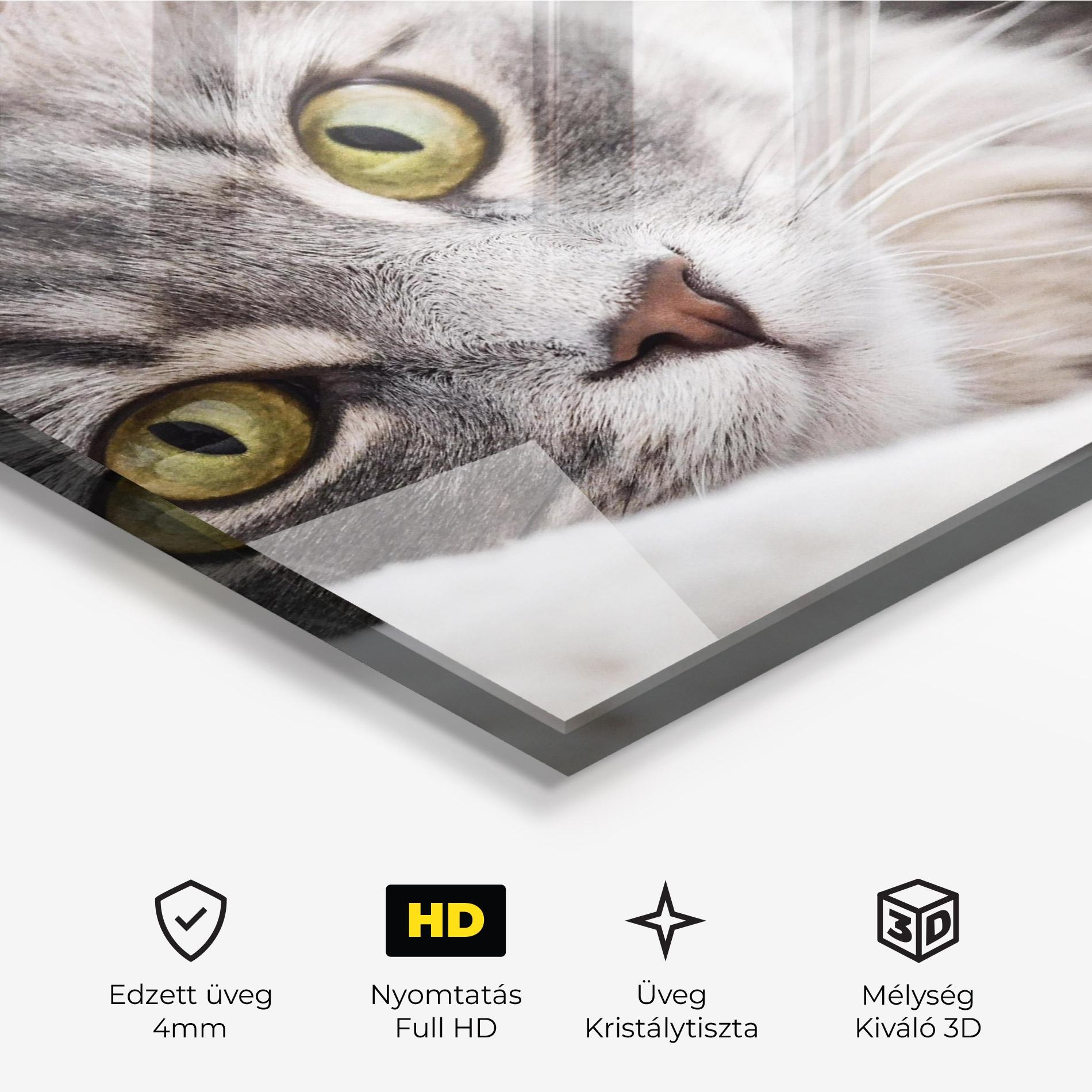 Üvegkép Grey Fluffy Cat mockup 3
