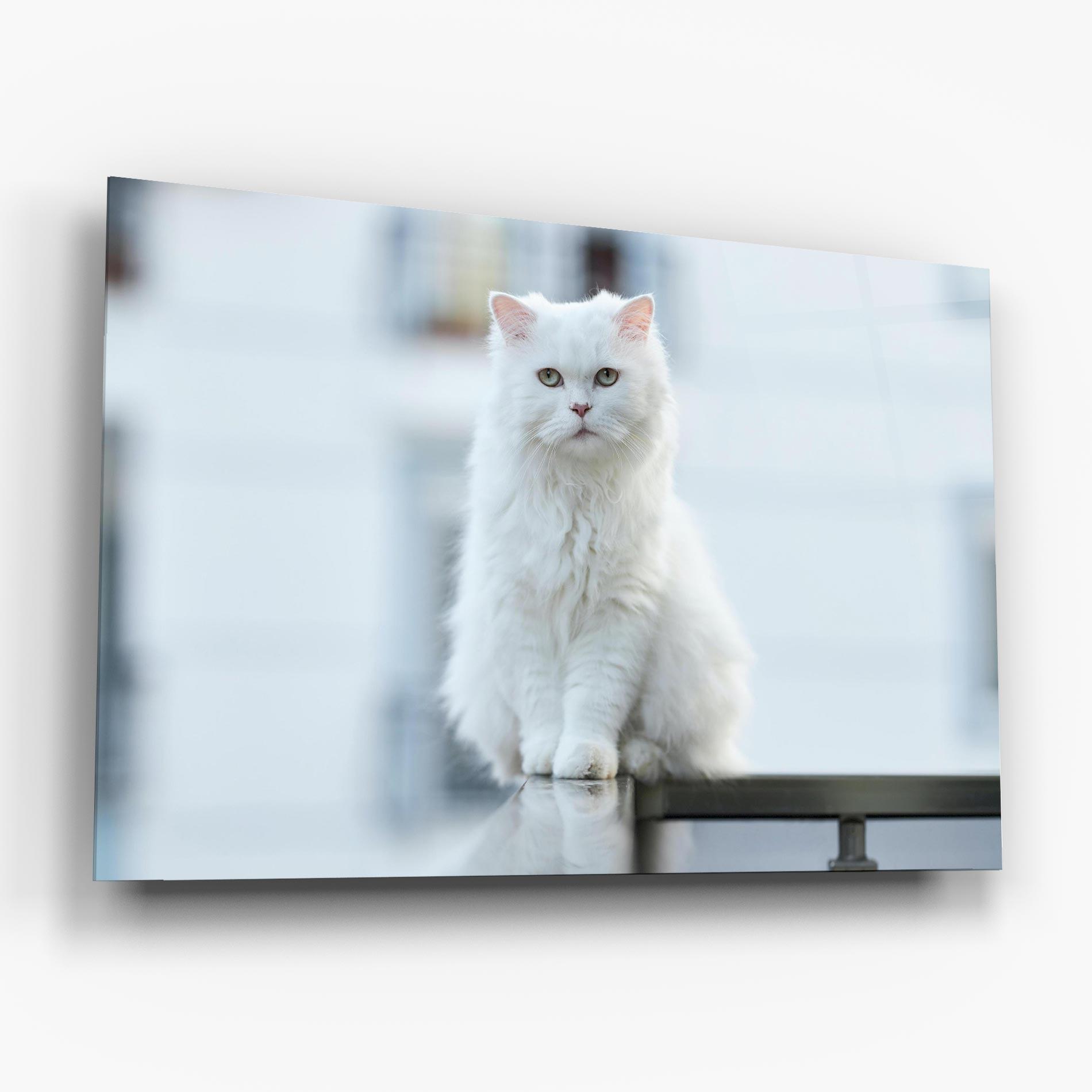 Üvegkép Big White Cat mockup 6