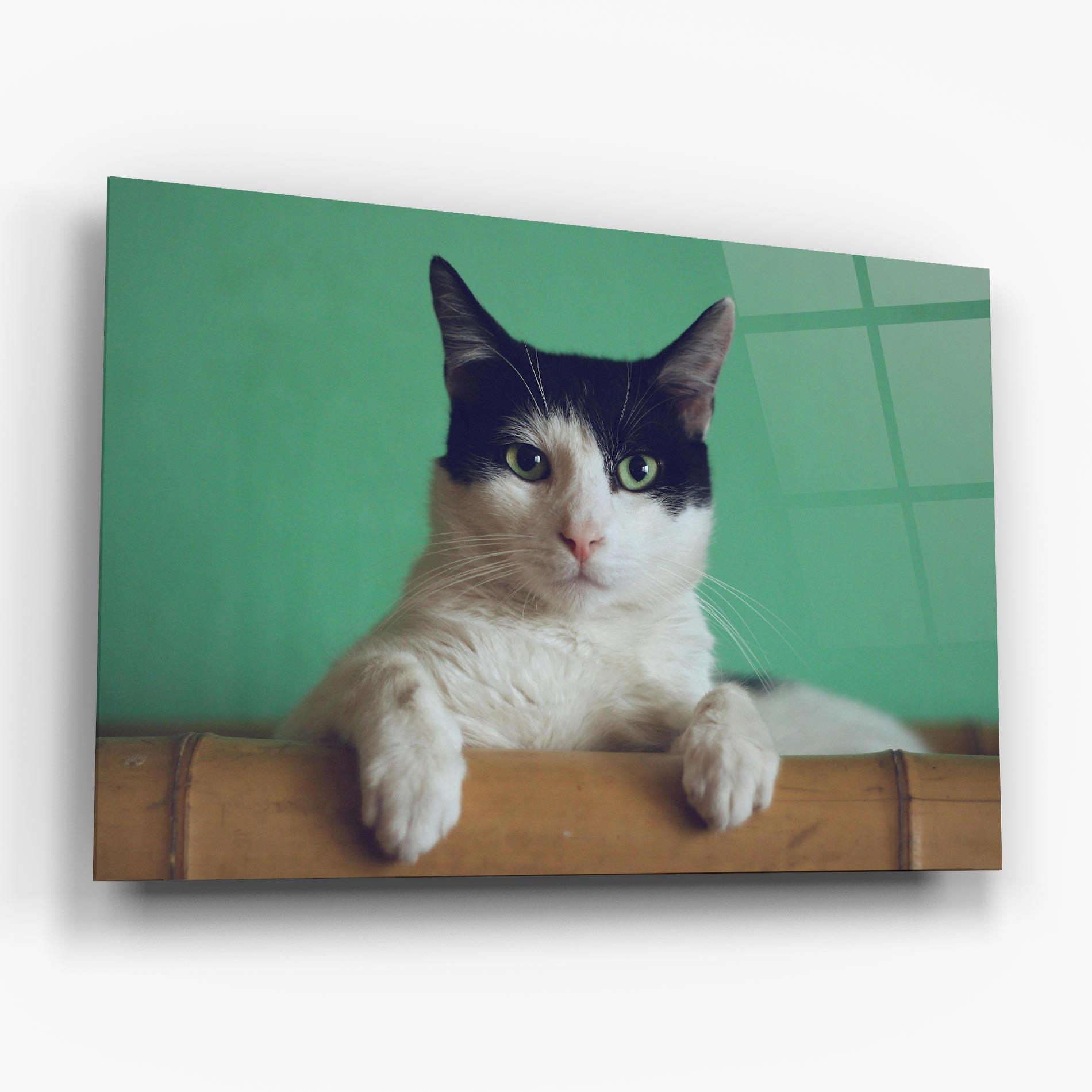 Üvegkép Black White Cat mockup 6