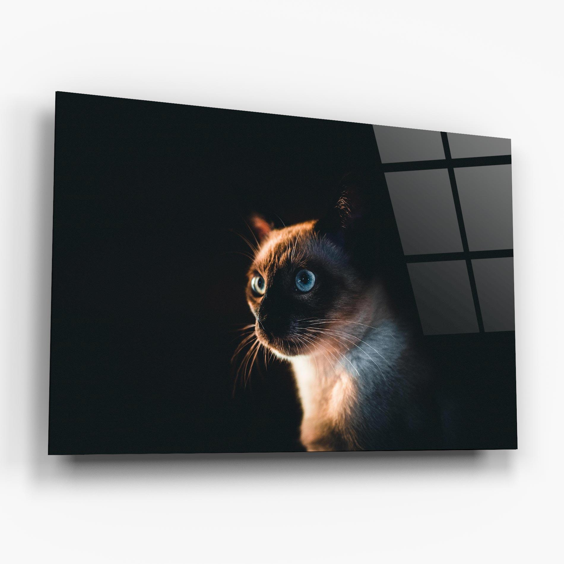 Üvegkép Blue Eyes Cat In Dark mockup 6