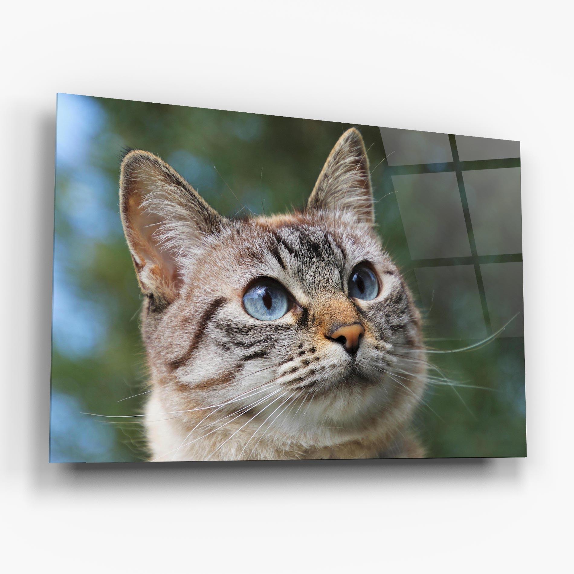 Üvegkép Blue Eyes Cutie mockup 6