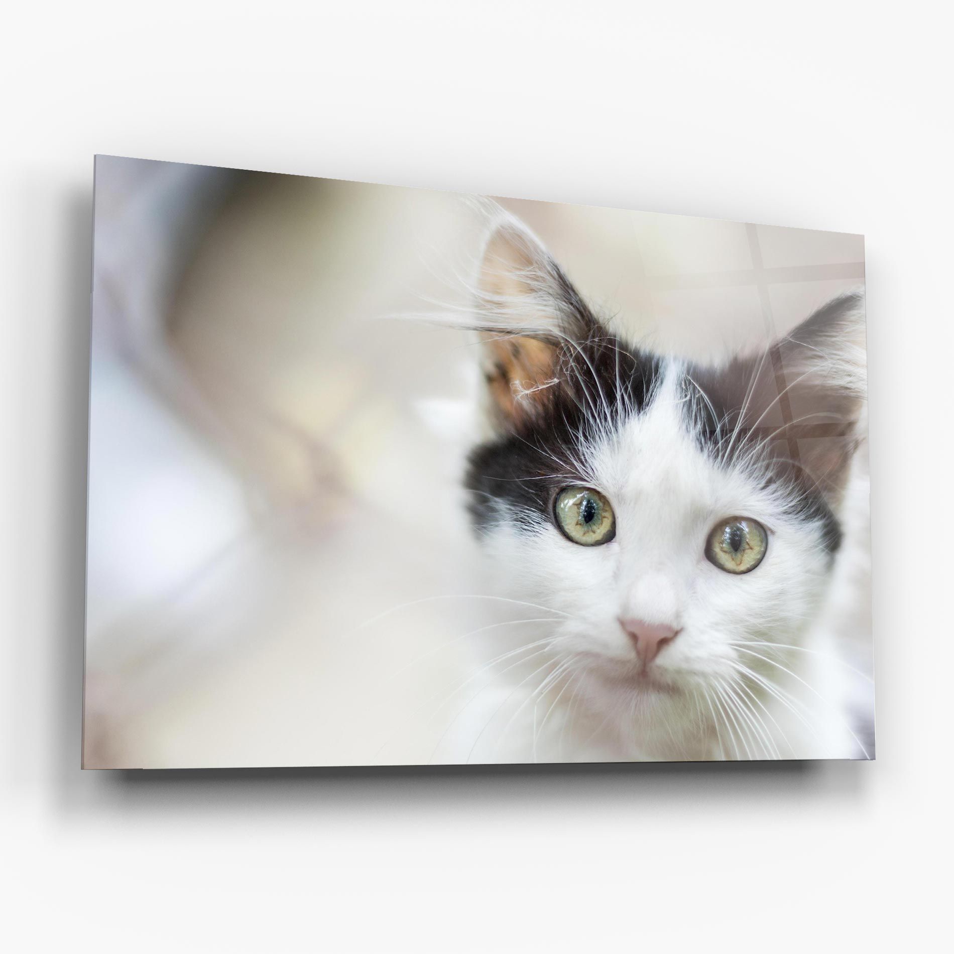 Cutie Cat mockup 6