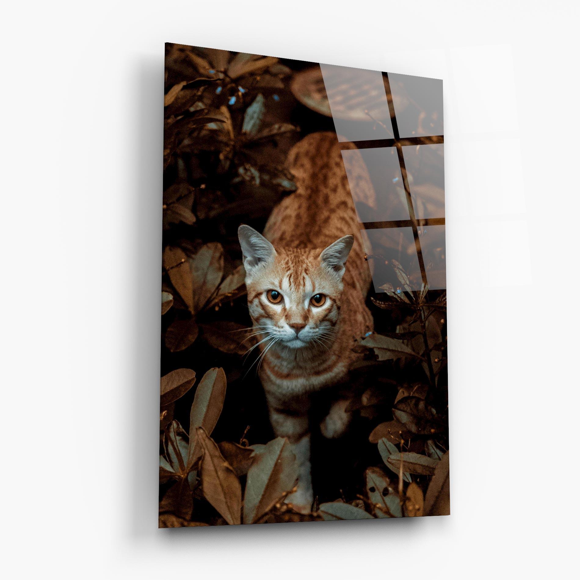 Üvegkép Autumn Orange Cat mockup 6