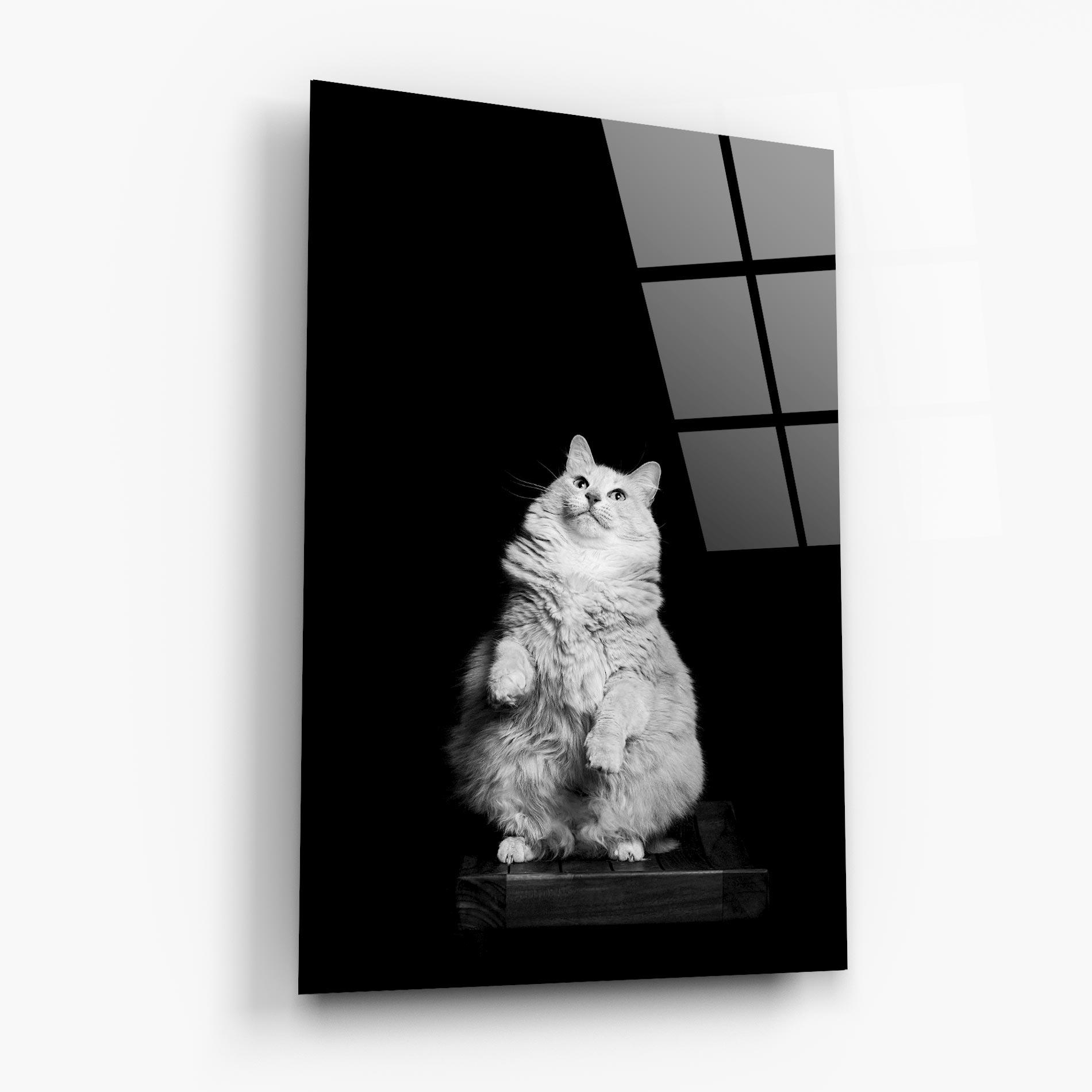 Üvegkép Big Fluffy Cat mockup 6