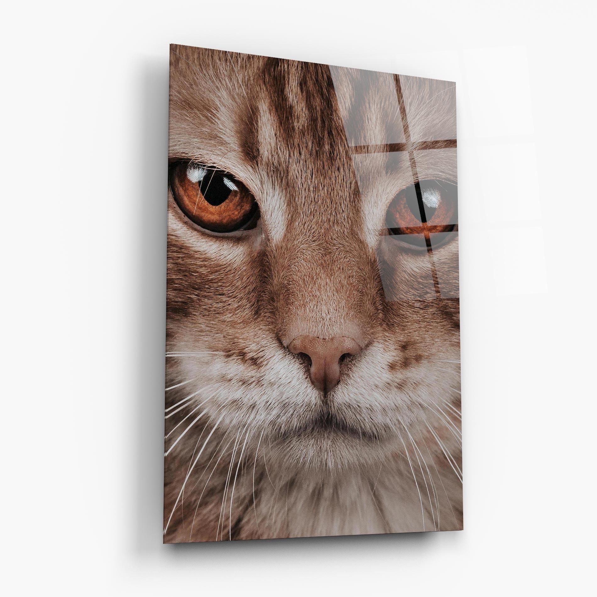 Üvegkép Fire Eyes Cat mockup 6
