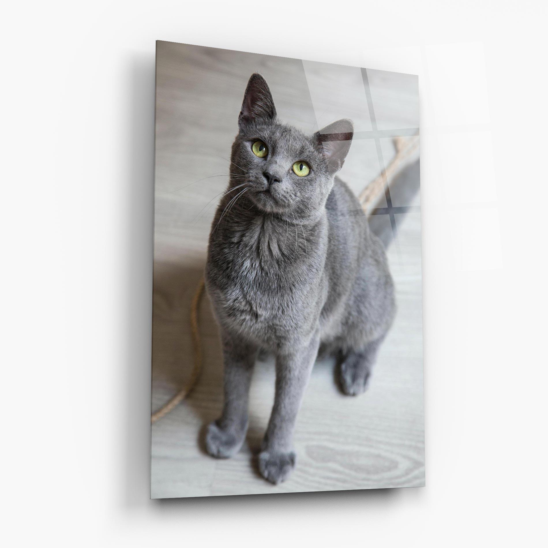 Üvegkép Grey Green Cat Eyes mockup 6