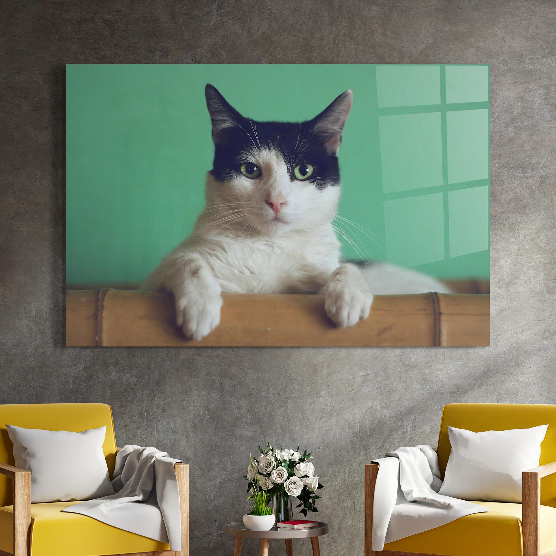 Üvegkép Black White Cat mockup 4