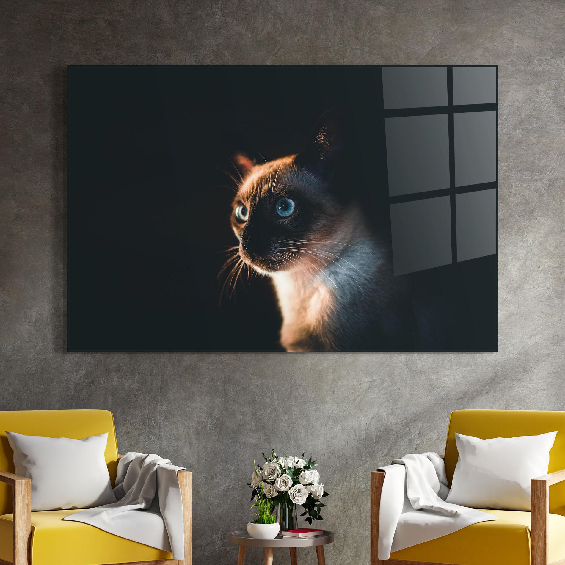 Üvegkép Blue Eyes Cat In Dark mockup 4