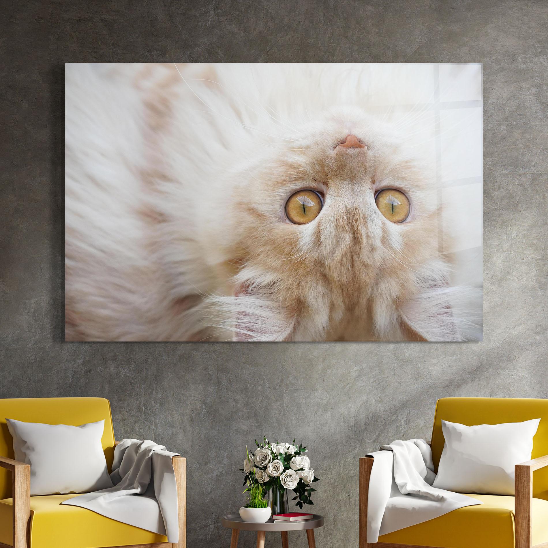 Üvegkép Close Up Yellow Eyes Cat mockup 4