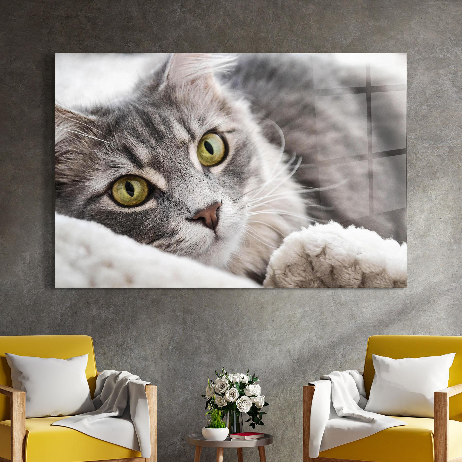 Üvegkép Grey Fluffy Cat mockup 4