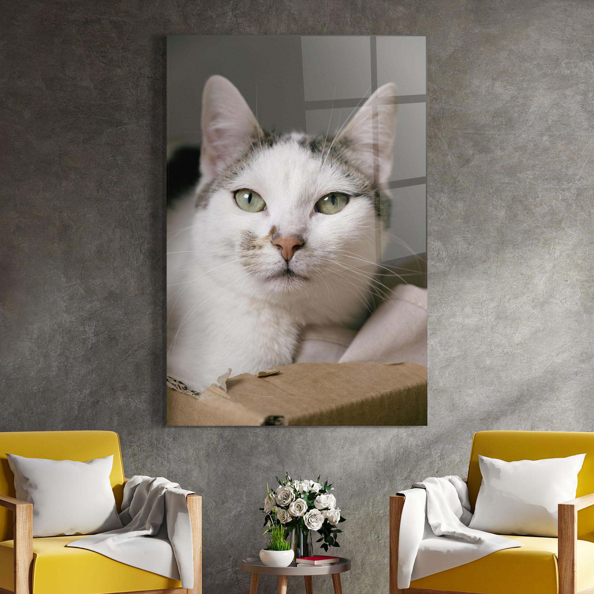 Üvegkép Big Sleepy Cat mockup 4