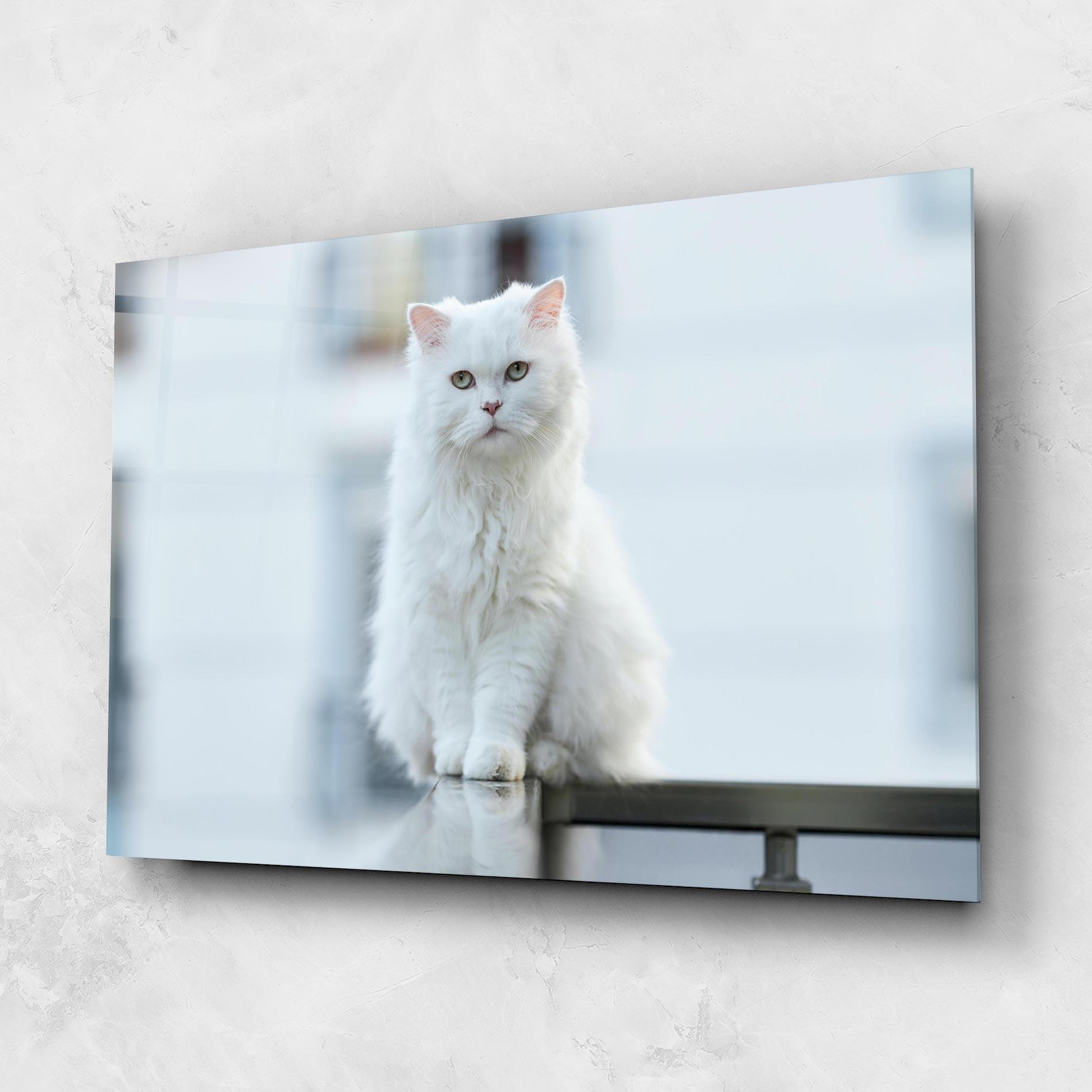 Üvegkép Big White Cat mockup 1