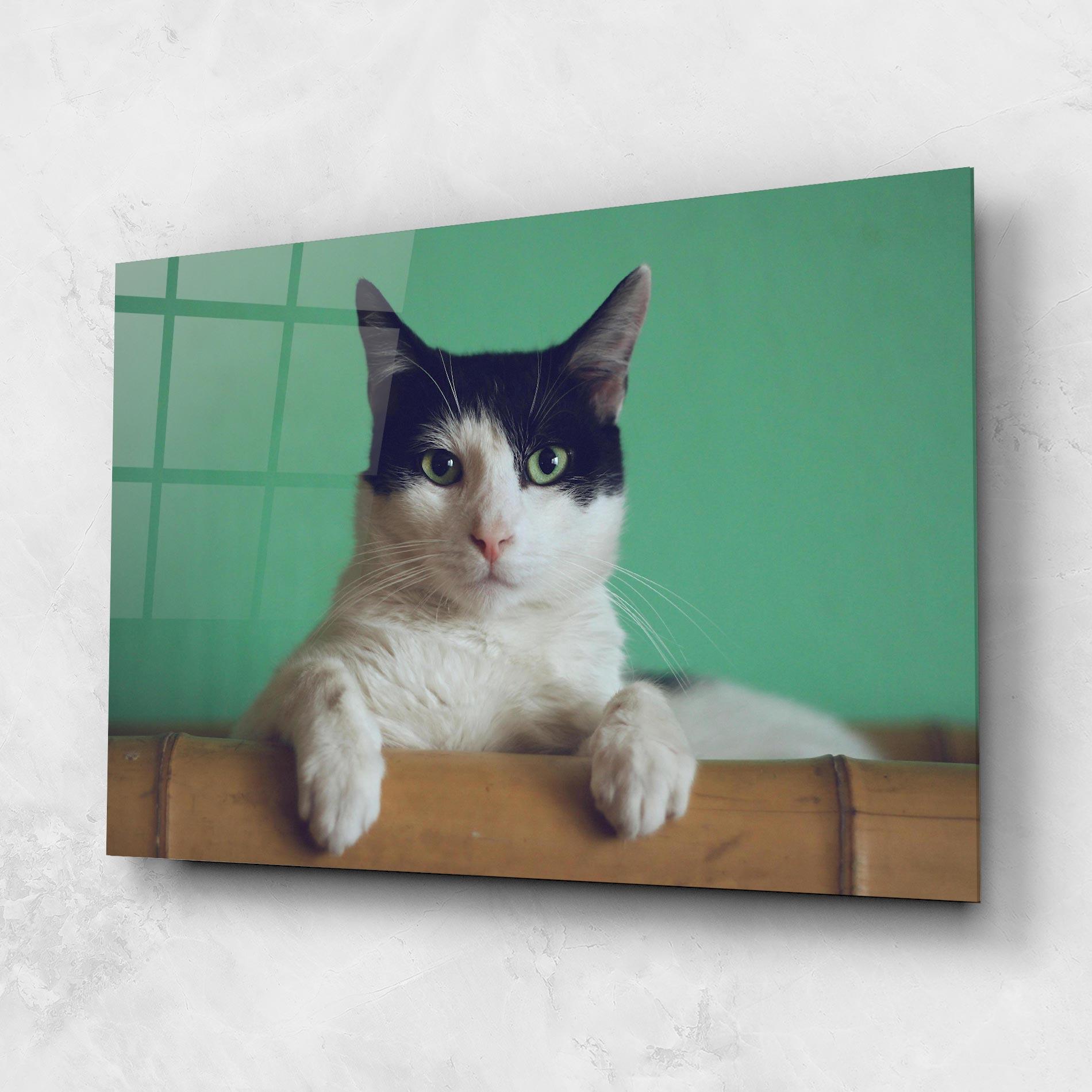 Üvegkép Black White Cat mockup 1