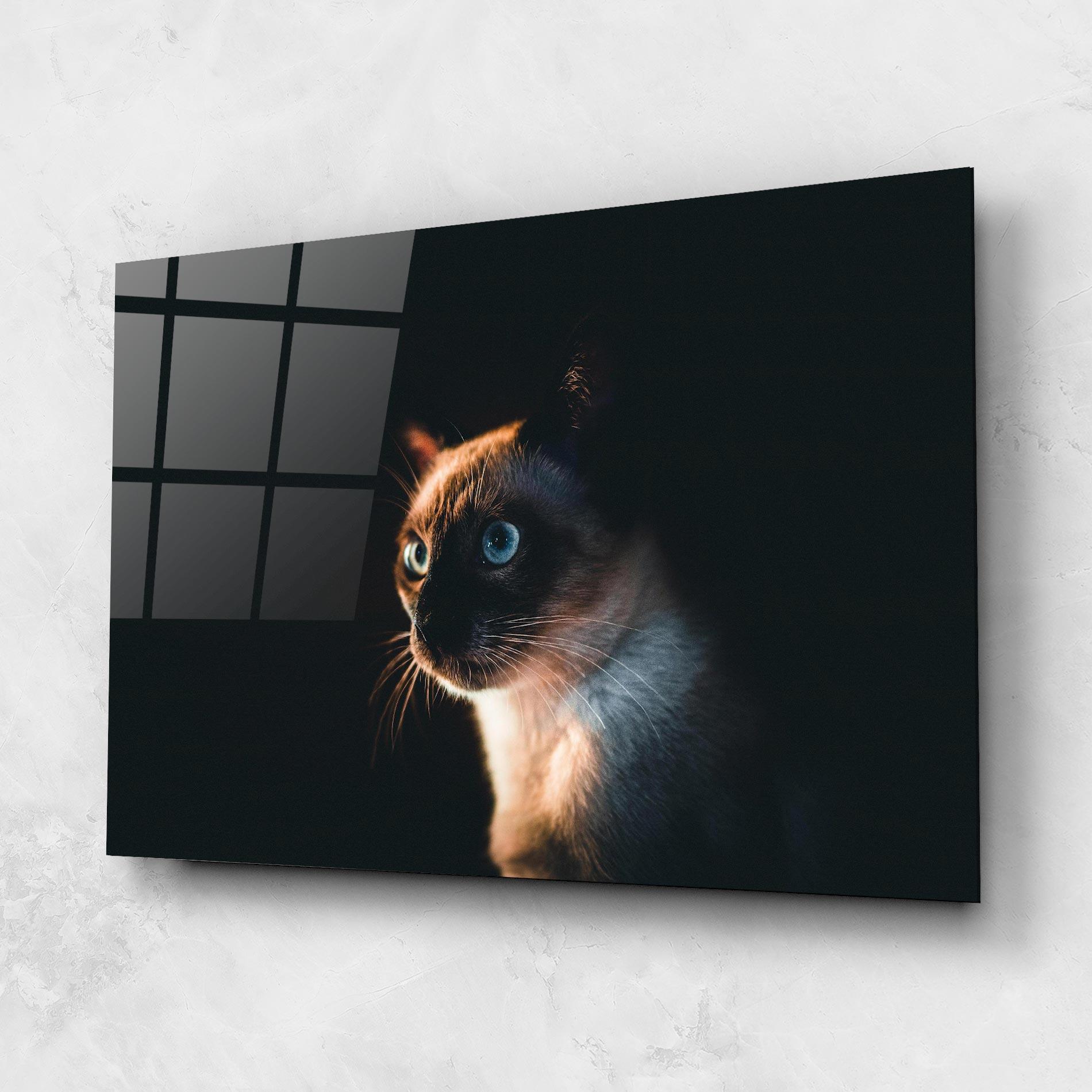 Üvegkép Blue Eyes Cat In Dark mockup 1