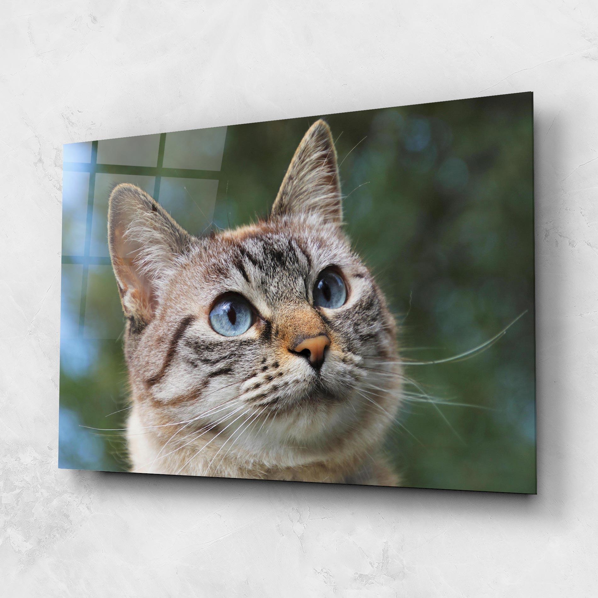 Üvegkép Blue Eyes Cutie mockup 1