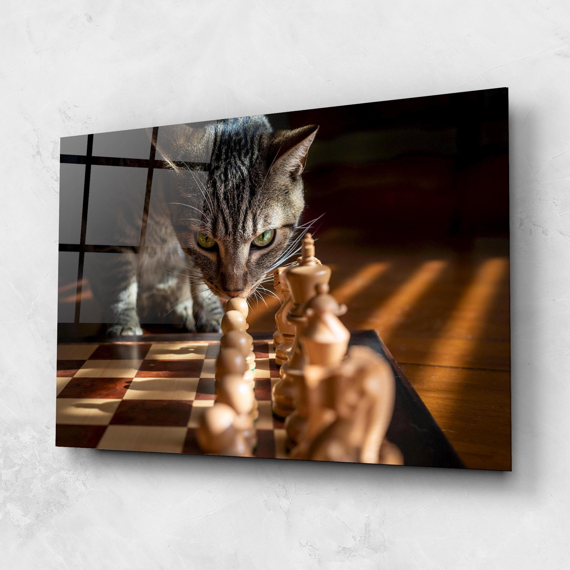 Üvegkép Chess Cat mockup 1