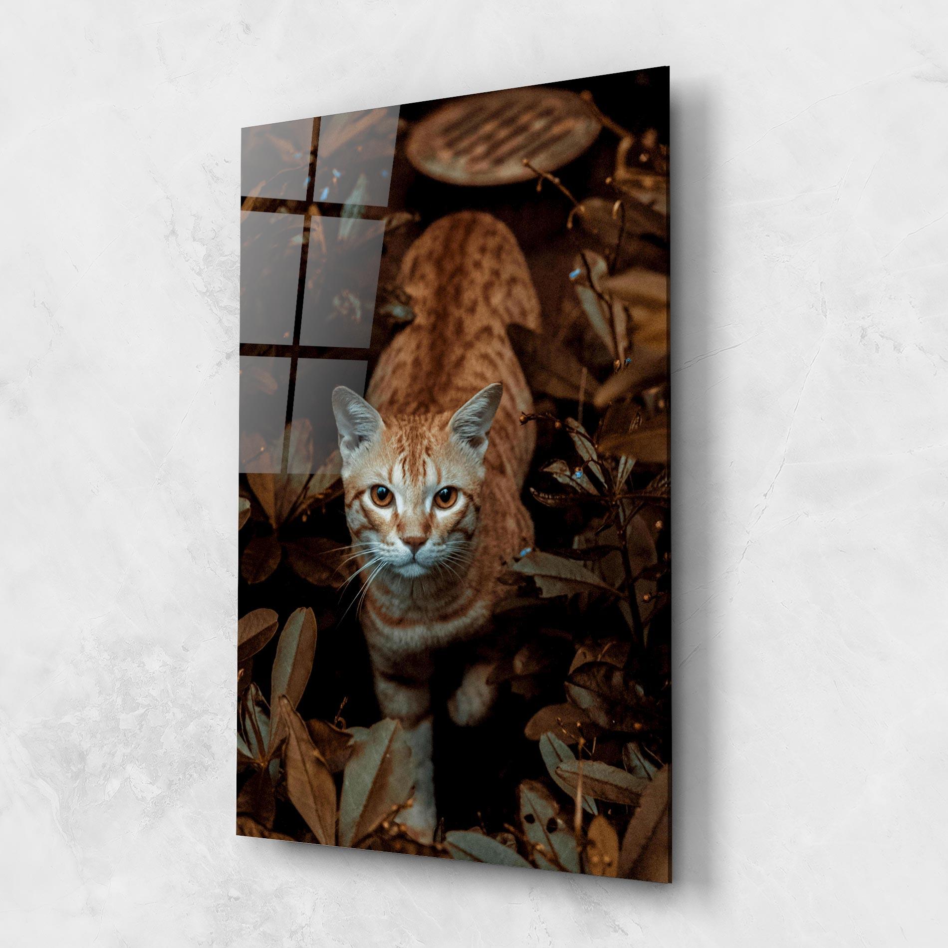 Üvegkép Autumn Orange Cat mockup 1