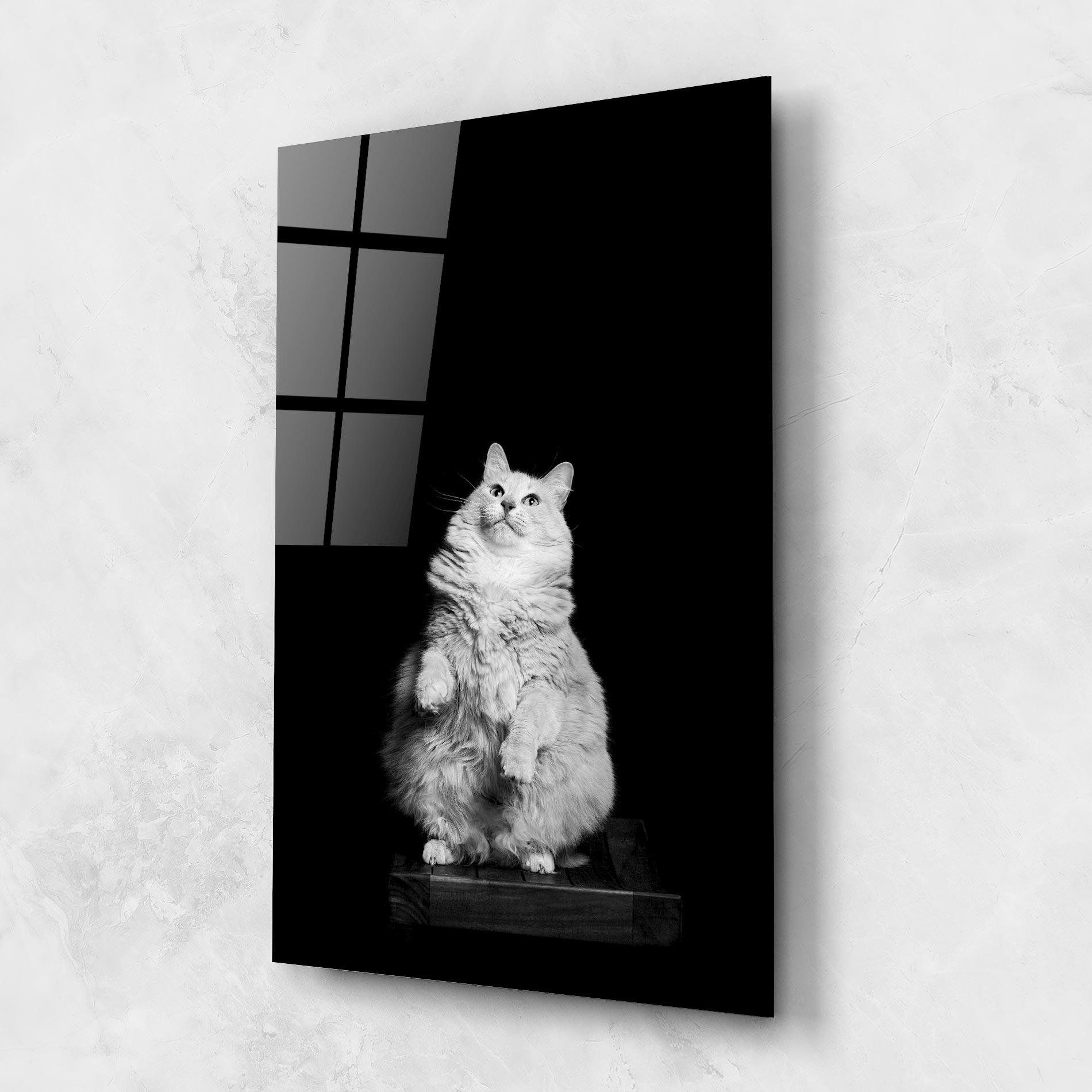 Üvegkép Big Fluffy Cat mockup 1