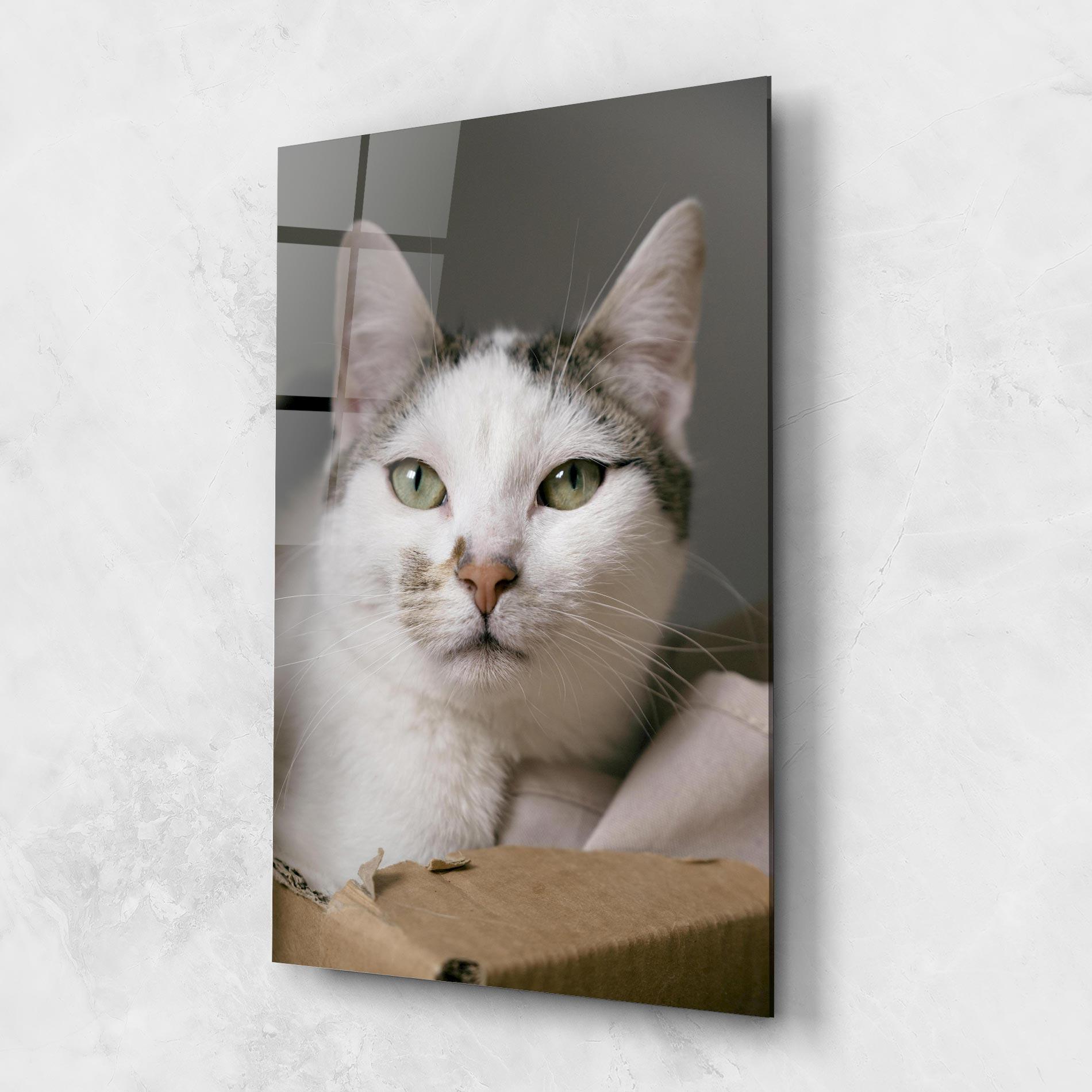 Üvegkép Big Sleepy Cat mockup 1