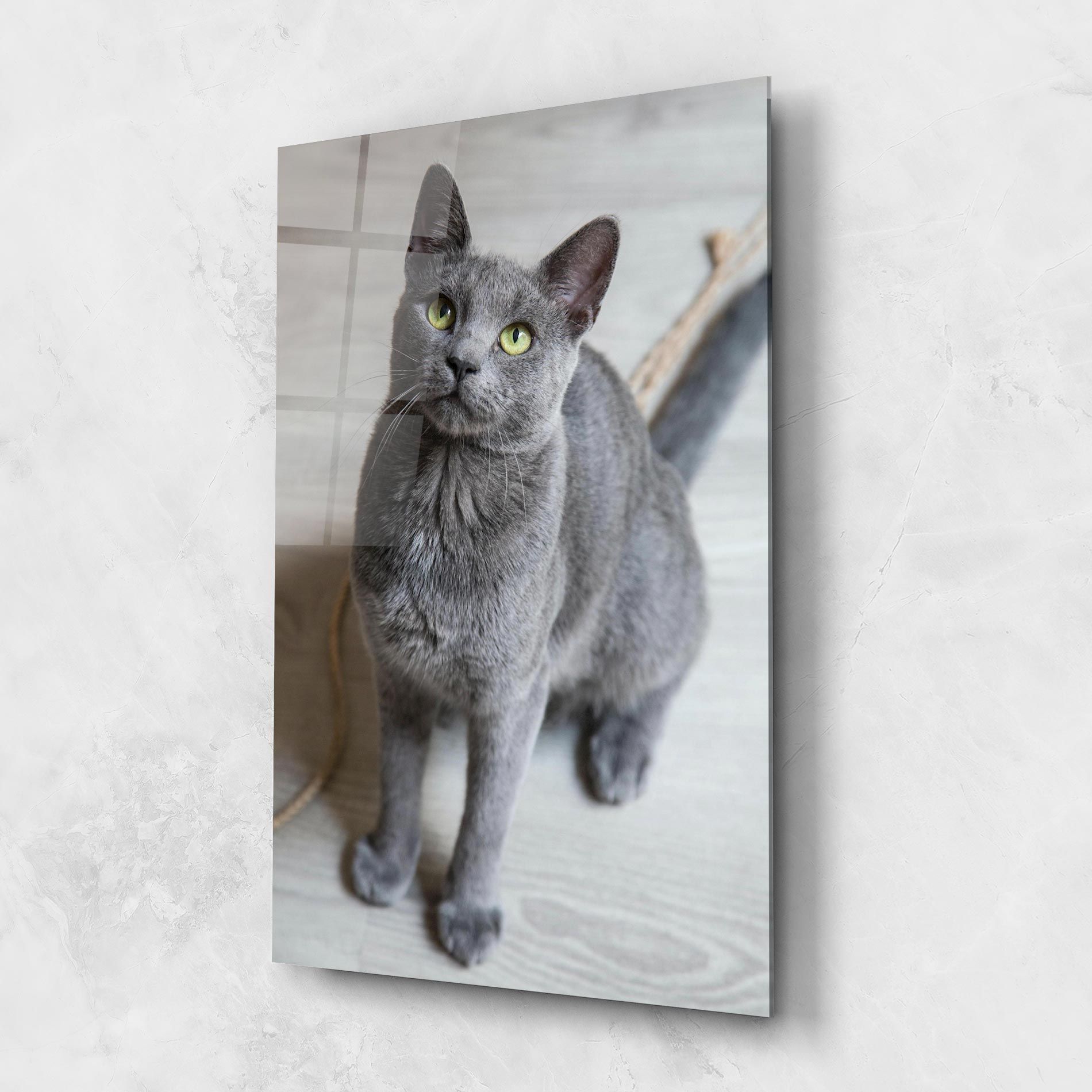 Grey Green Cat Eyes mockup 1
