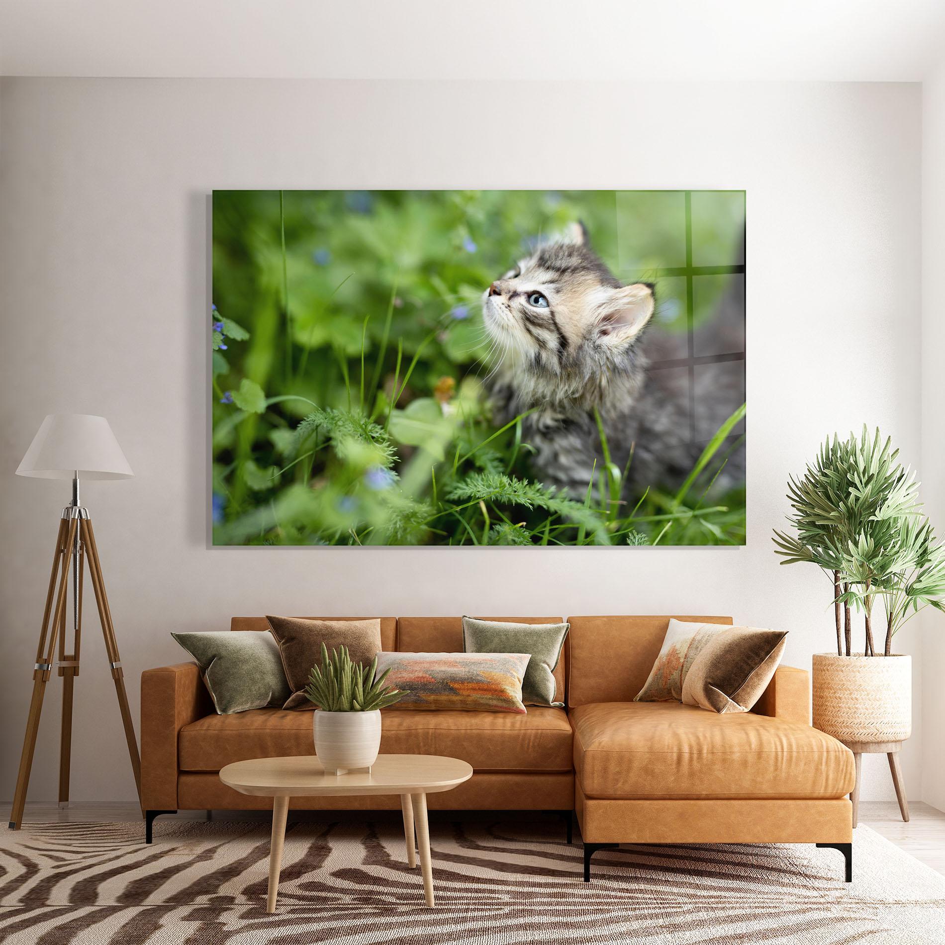 Üvegkép Brown Baby Cat mockup 7