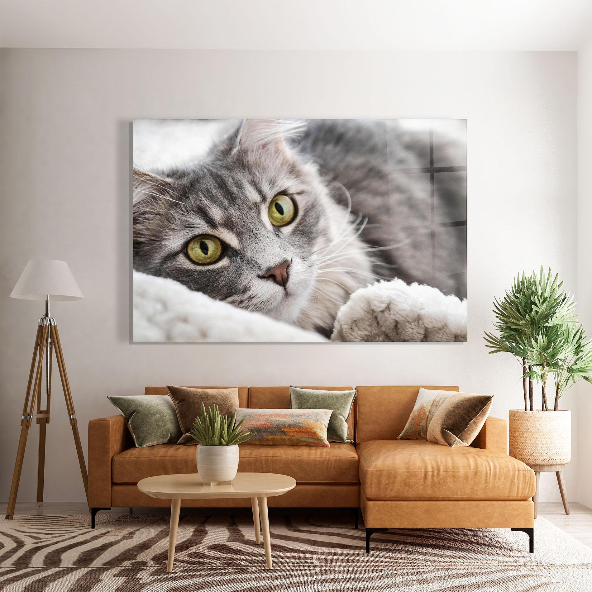Üvegkép Grey Fluffy Cat mockup 7