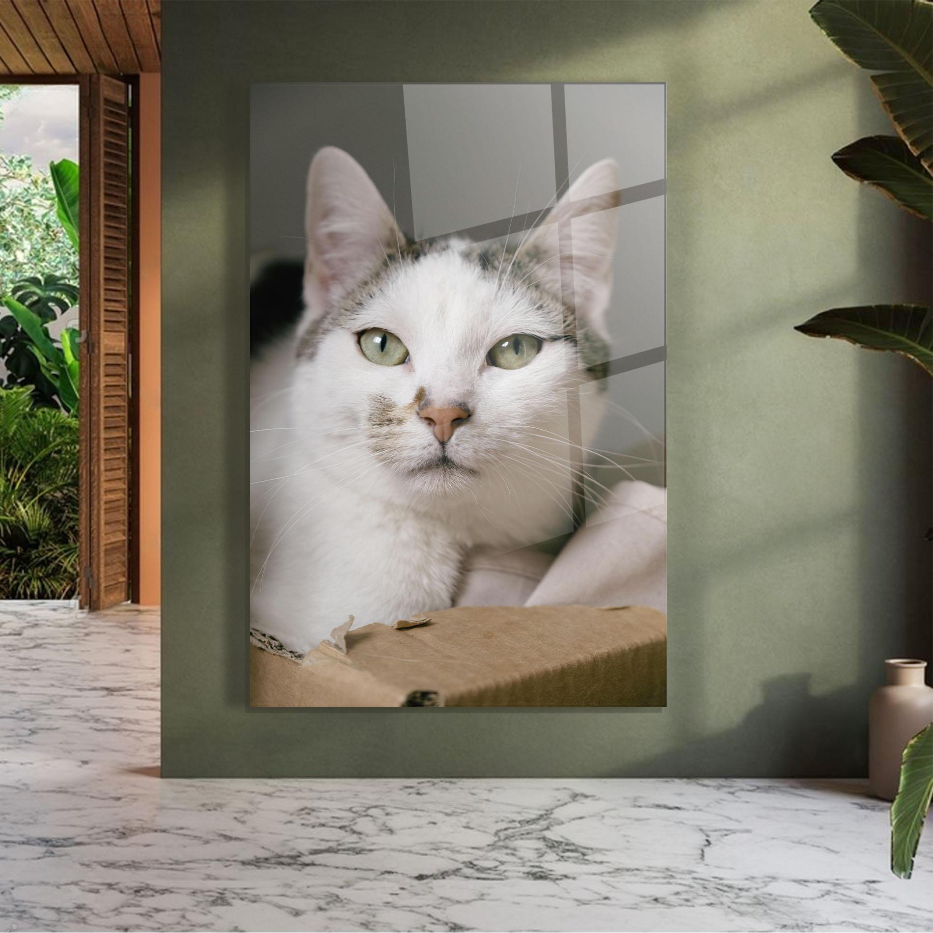 Üvegkép Big Sleepy Cat mockup 7