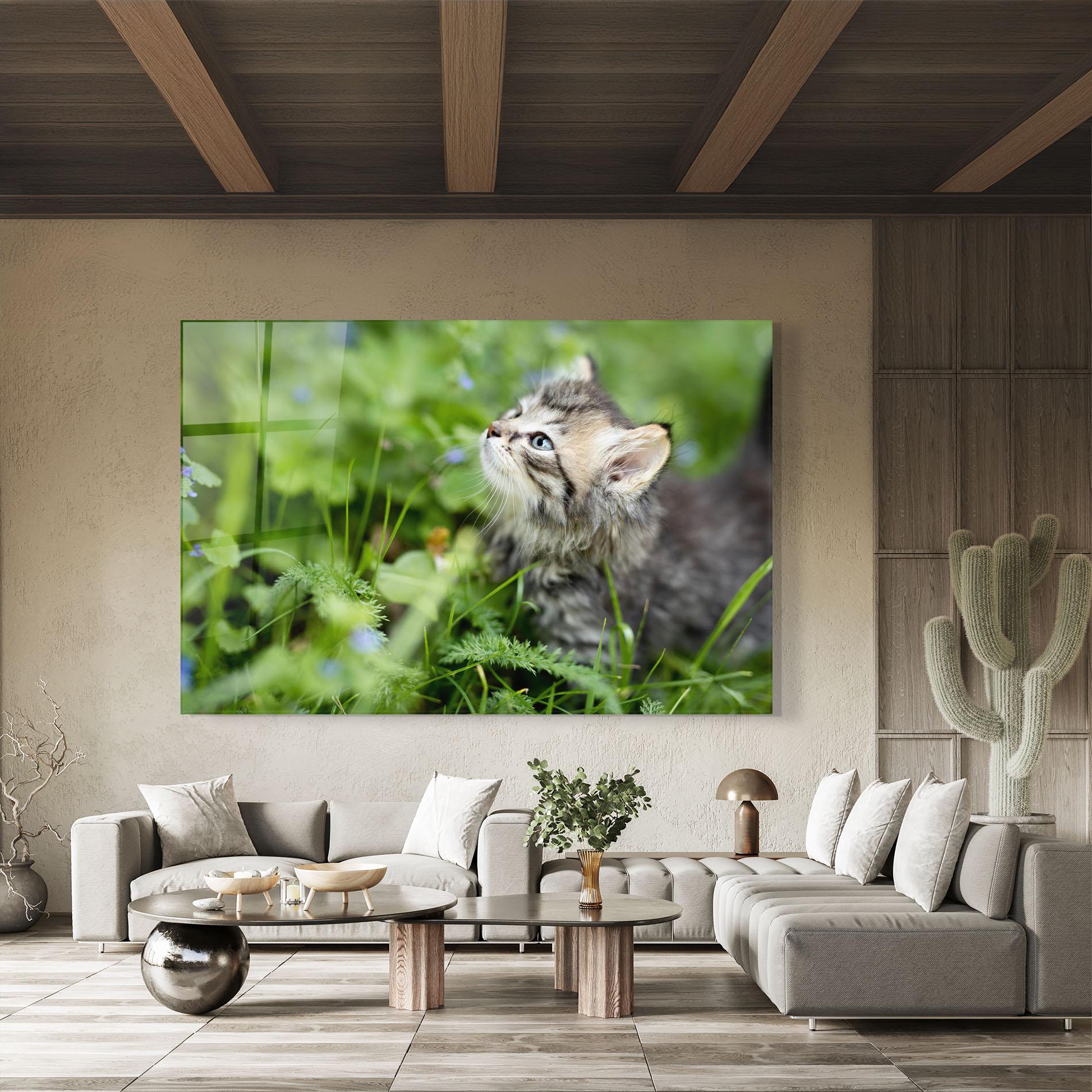 Üvegkép Brown Baby Cat mockup 8