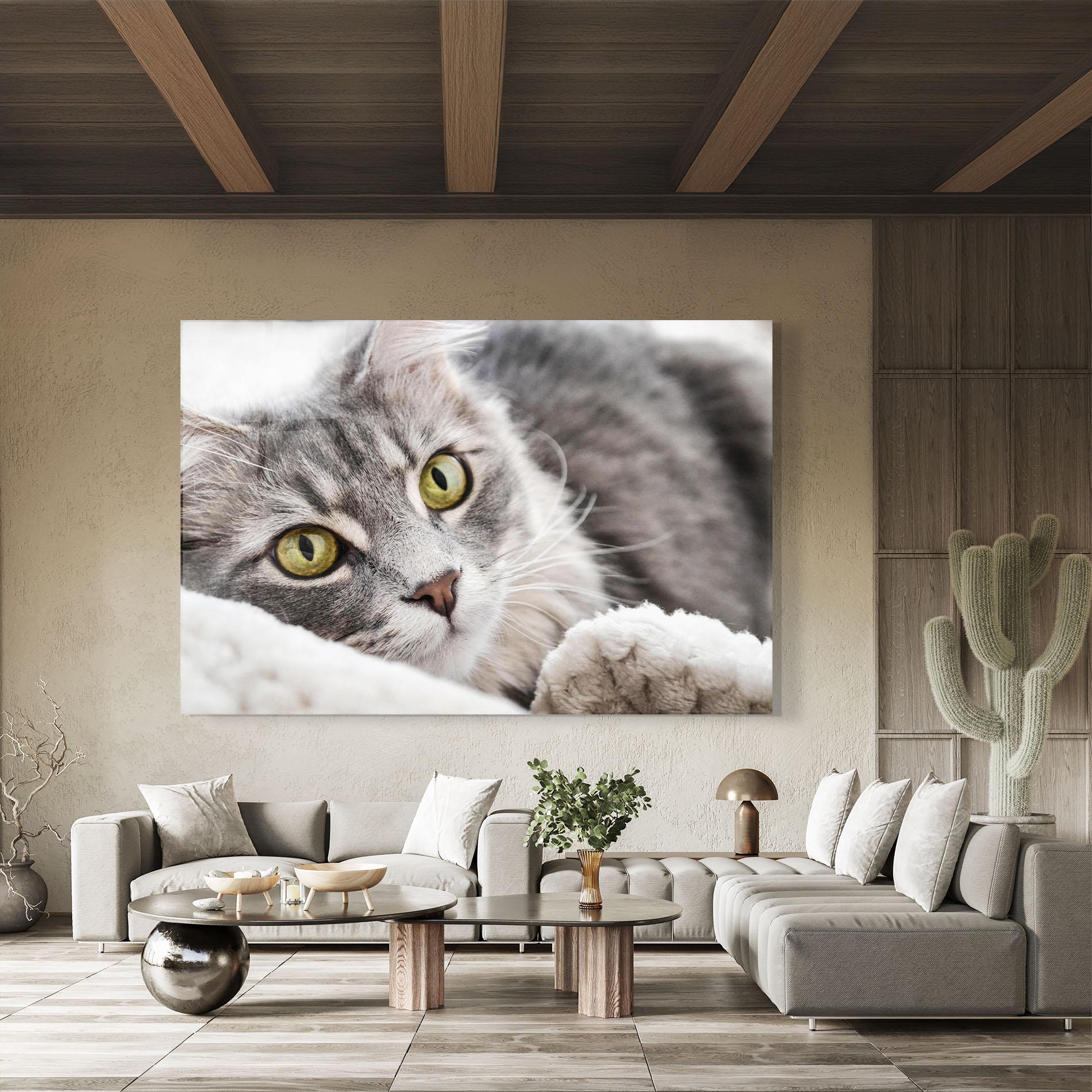 Üvegkép Grey Fluffy Cat mockup 8