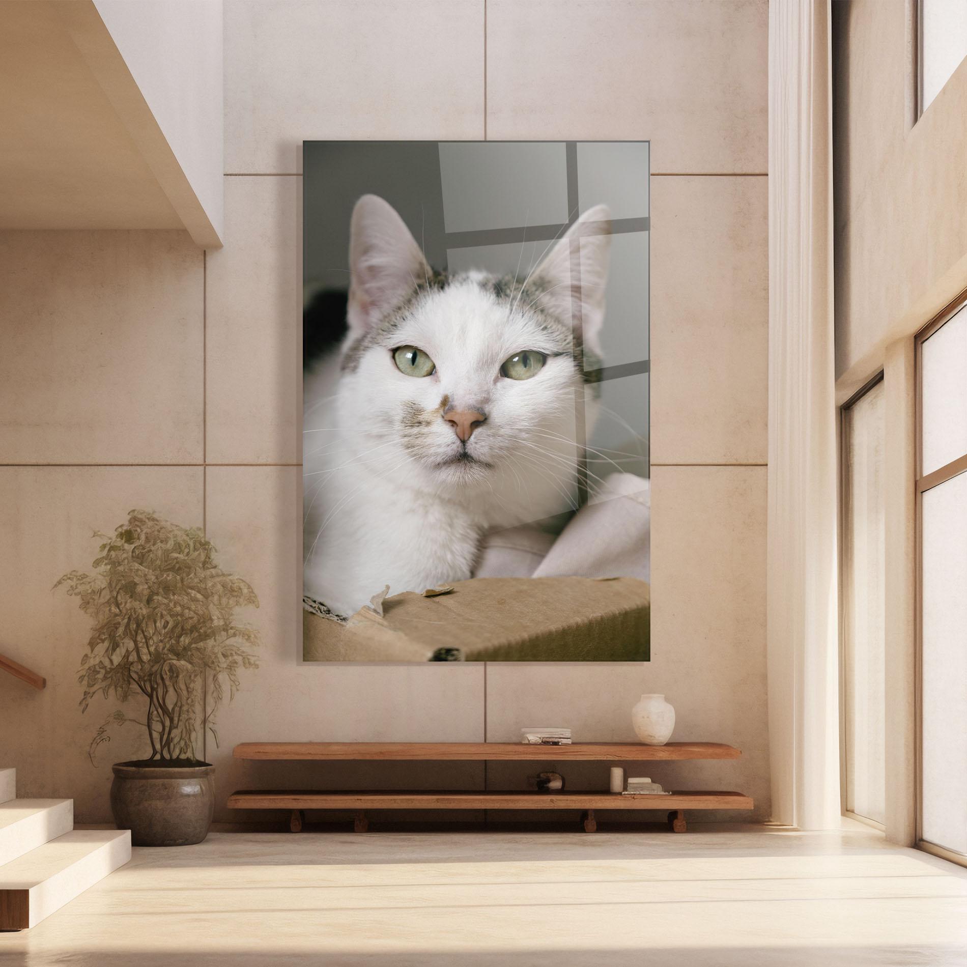 Üvegkép Big Sleepy Cat mockup 8