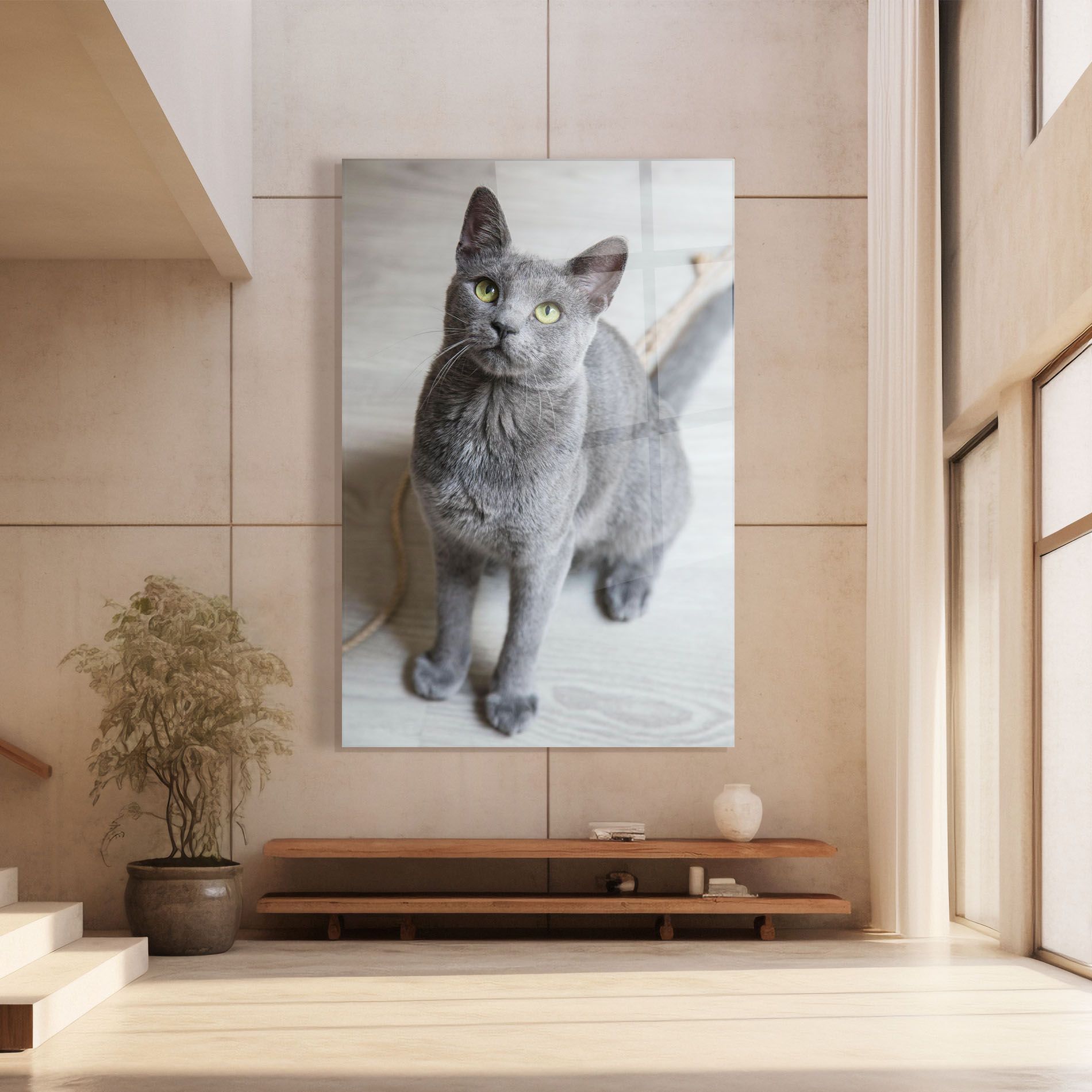 Grey Green Cat Eyes mockup 8