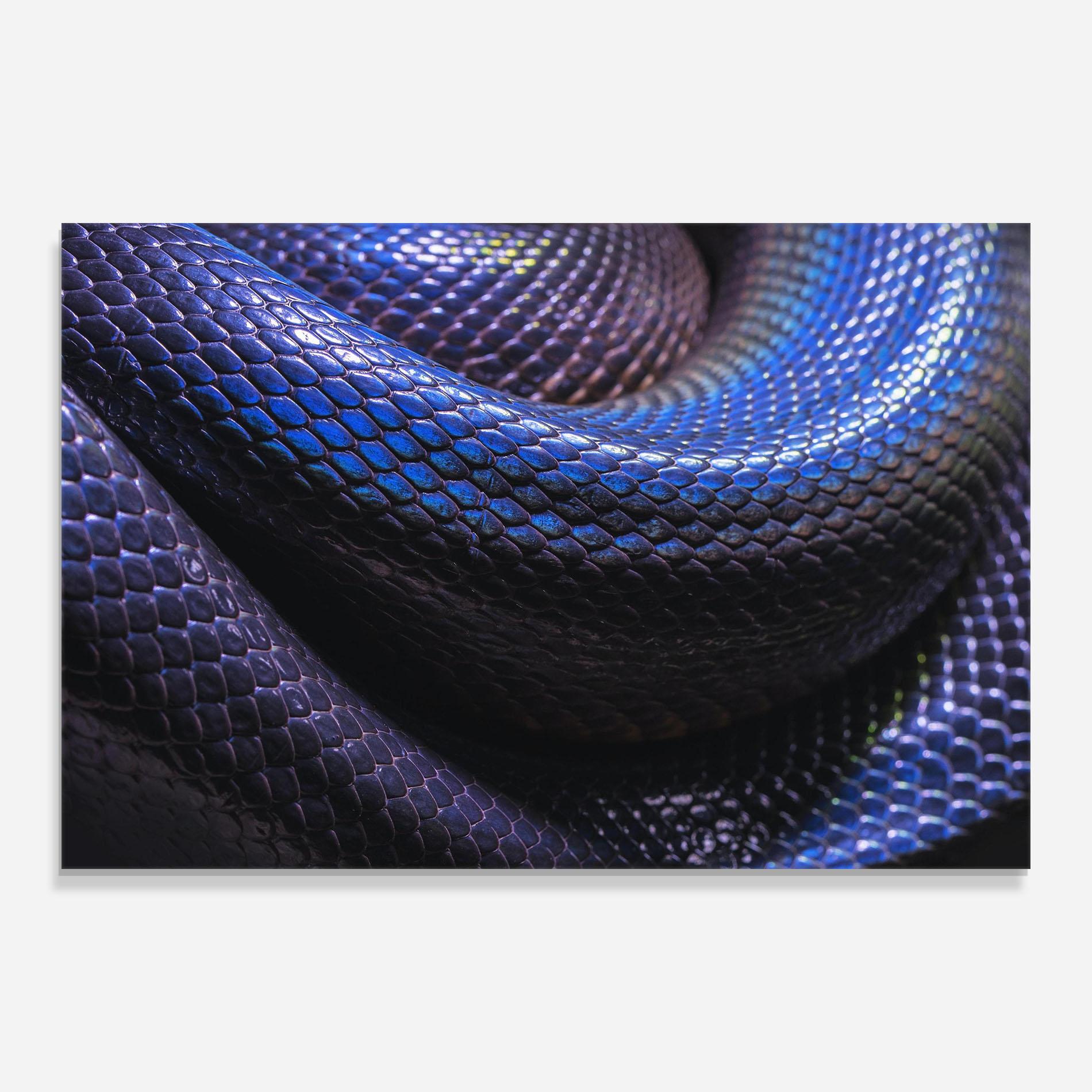 Üvegkép Snake Skin mockup 0