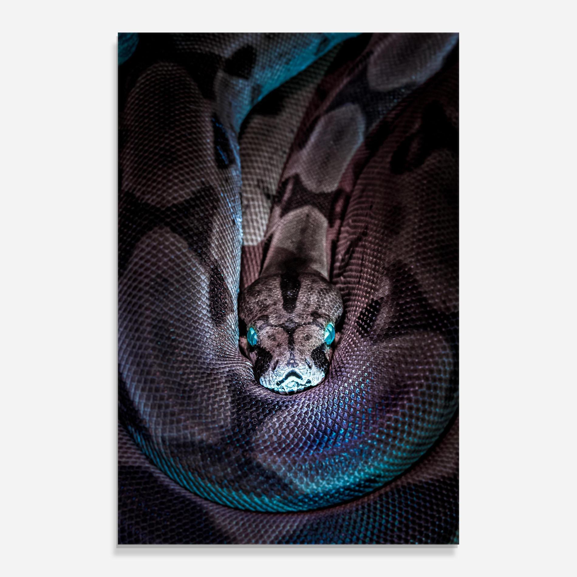 Üvegkép Vibrant Snake mockup 0