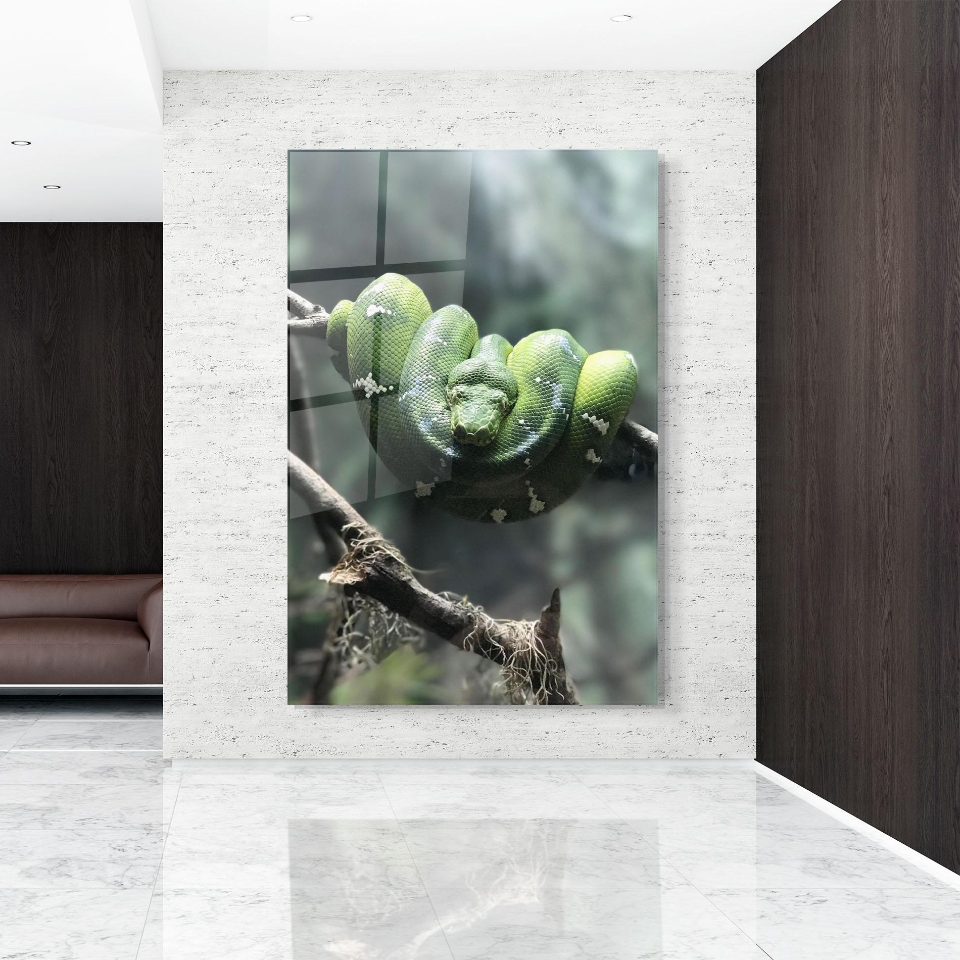 Üvegkép Sleepy Snake mockup 9