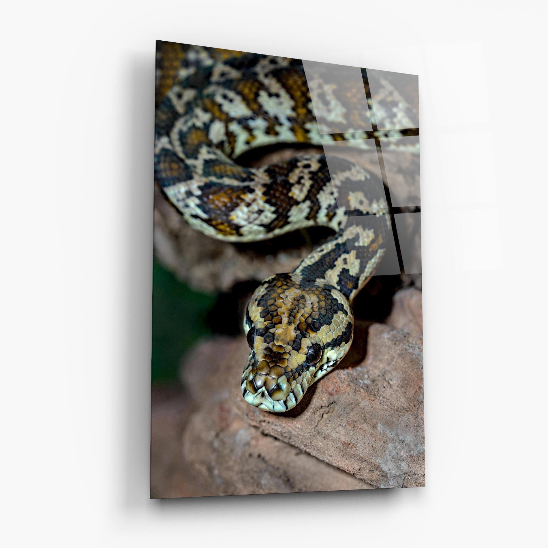 Üvegkép King Snake mockup 6