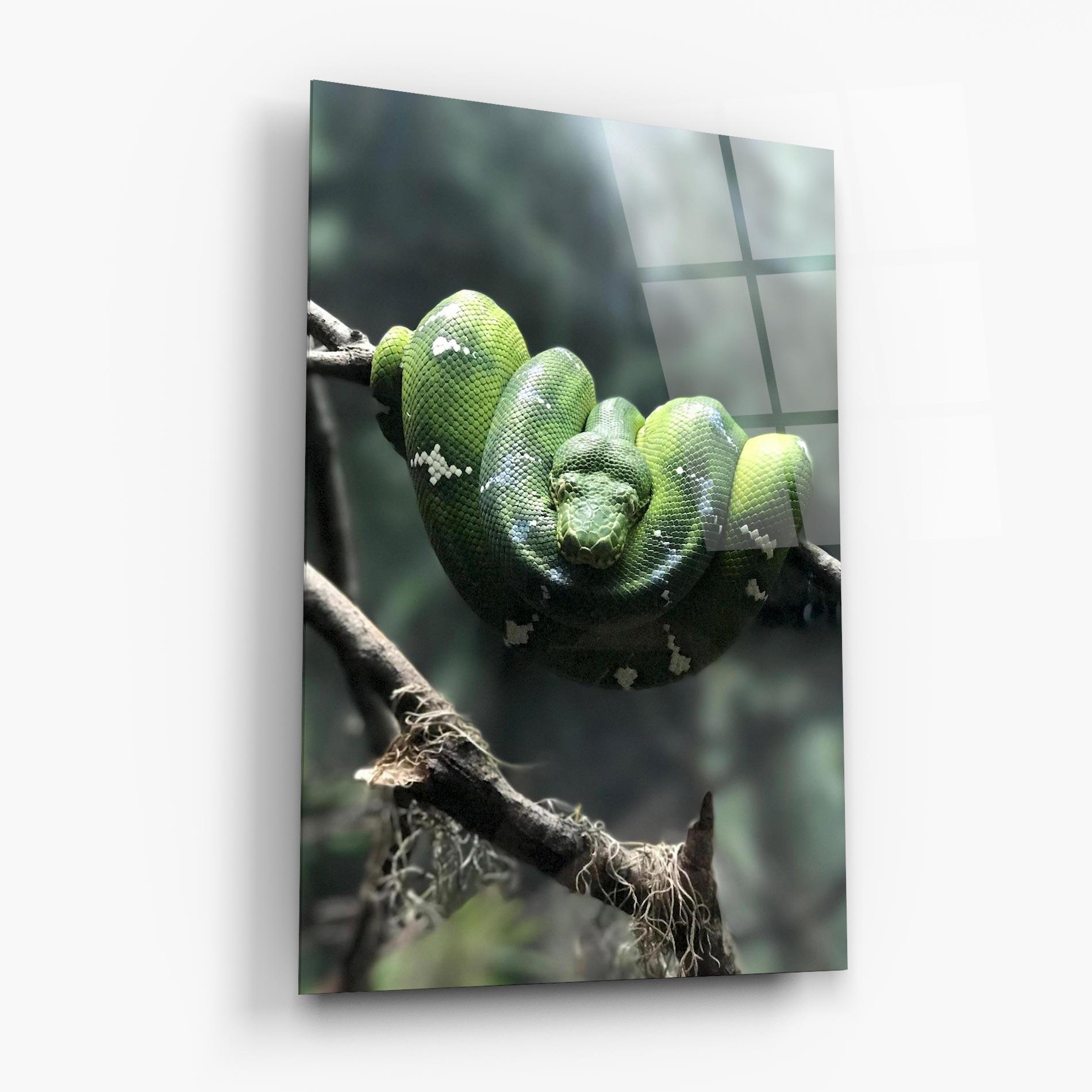 Üvegkép Sleepy Snake mockup 6