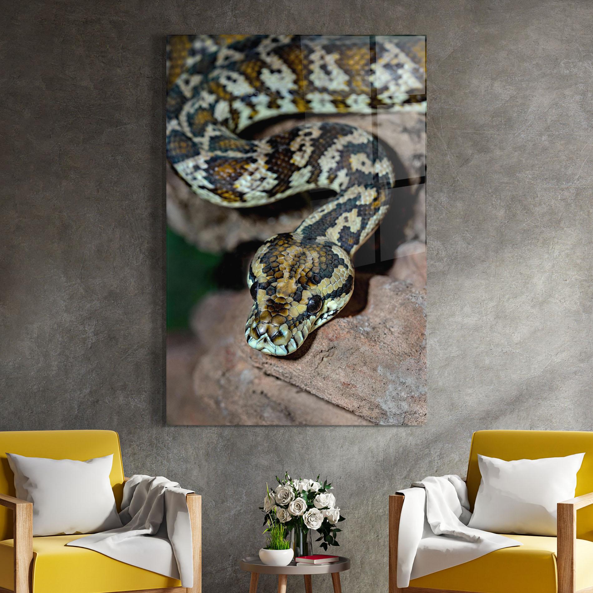 Üvegkép King Snake mockup 4