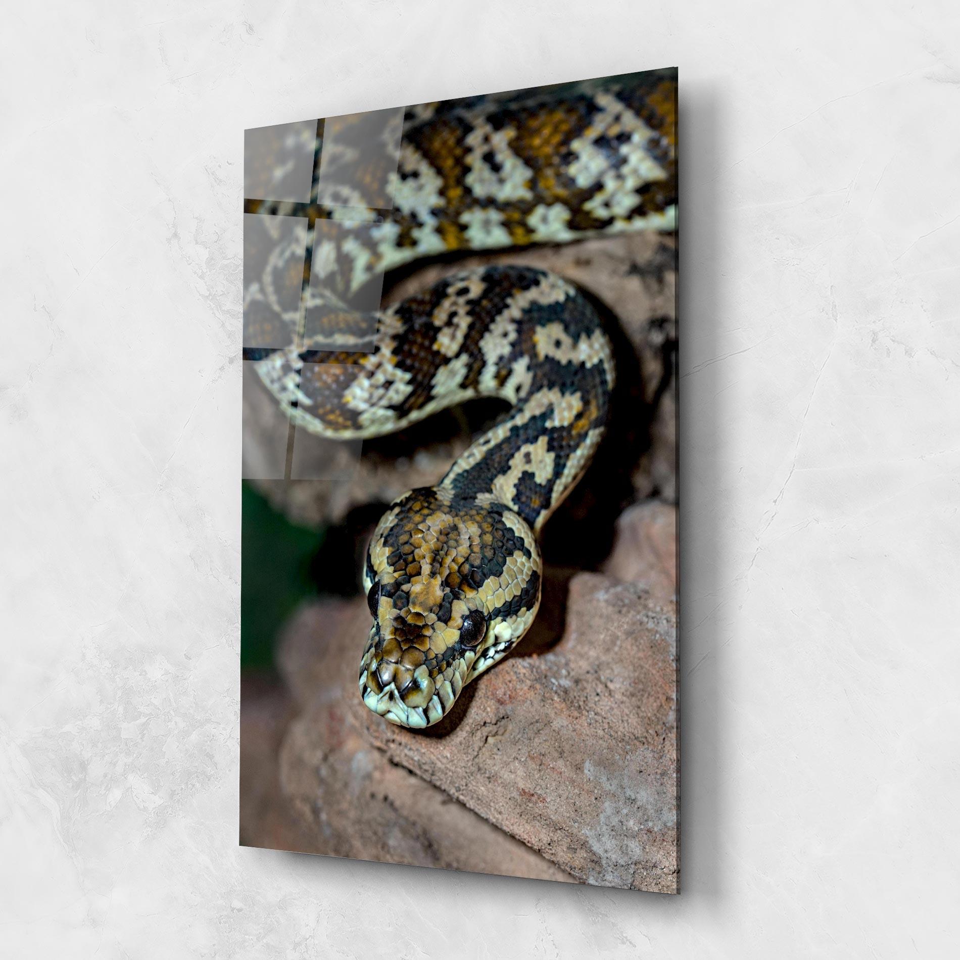 Üvegkép King Snake mockup 1