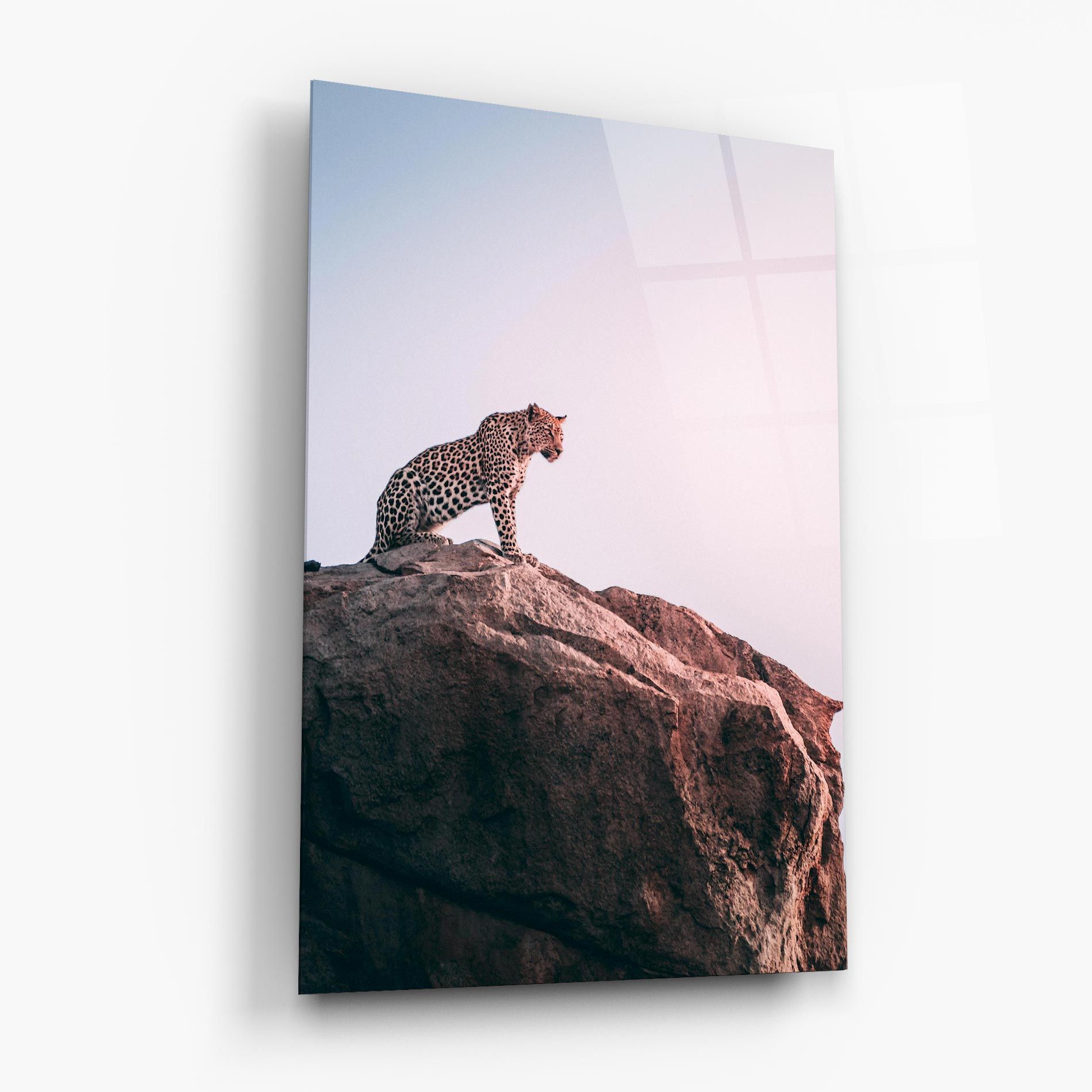 Mountain Leopard mockup 6
