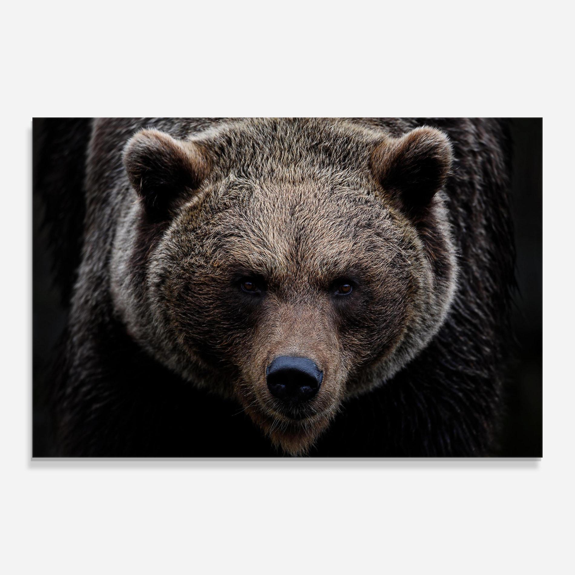 Üvegkép Brown Bear mockup 0
