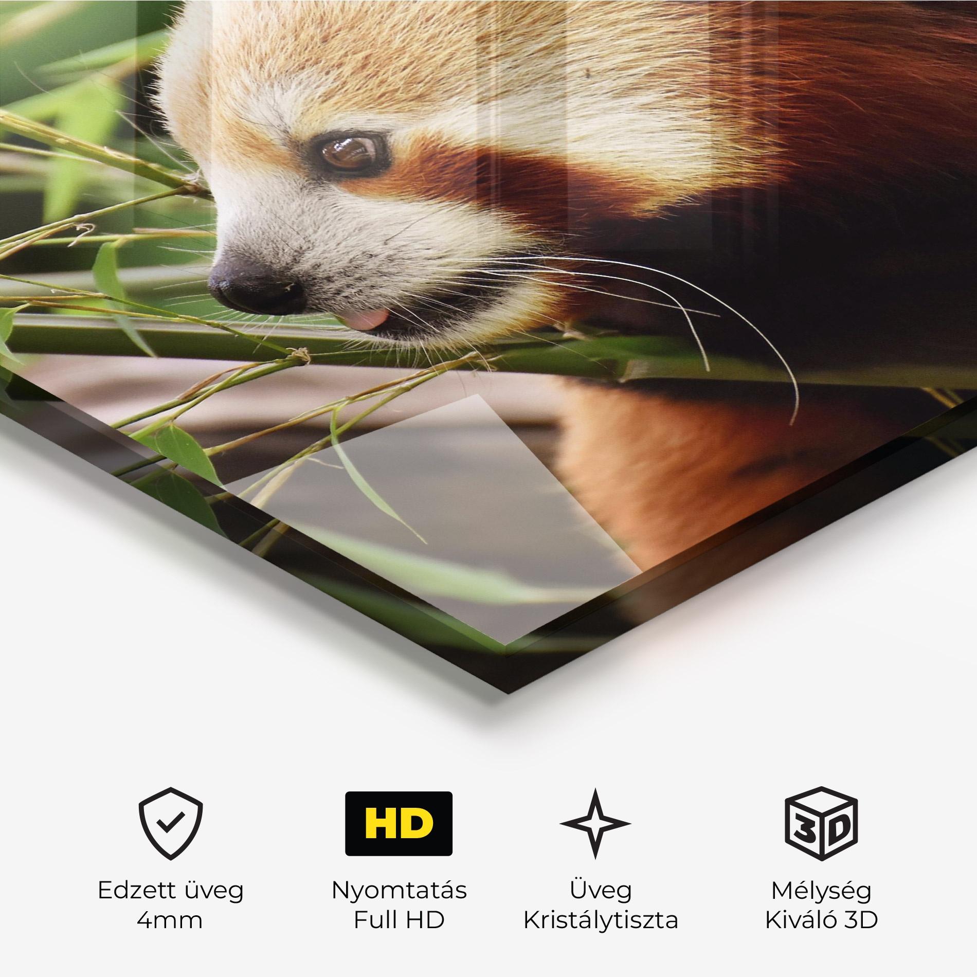 Üvegkép Cute Red Panda mockup 3