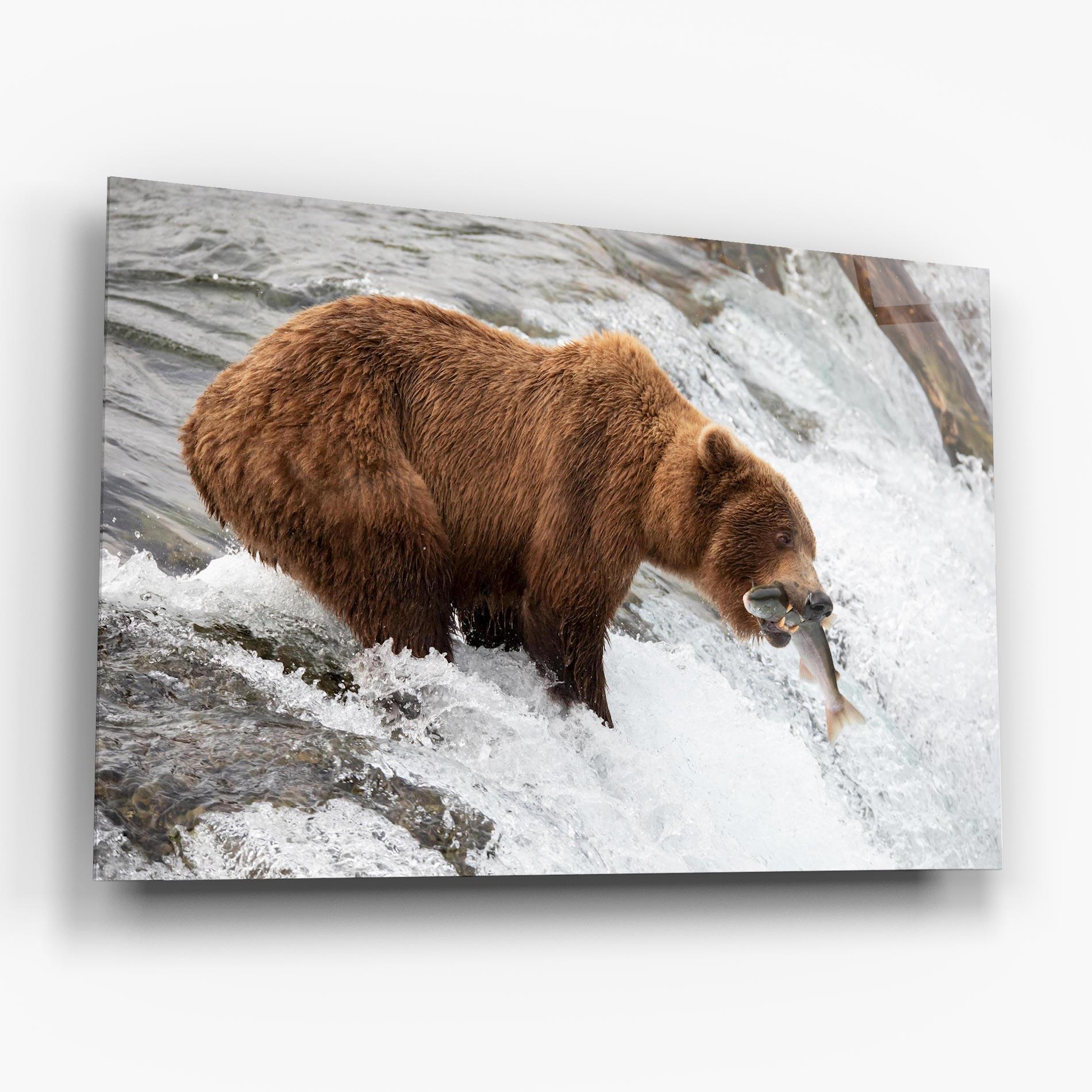 Üvegkép Bear Hunting mockup 6