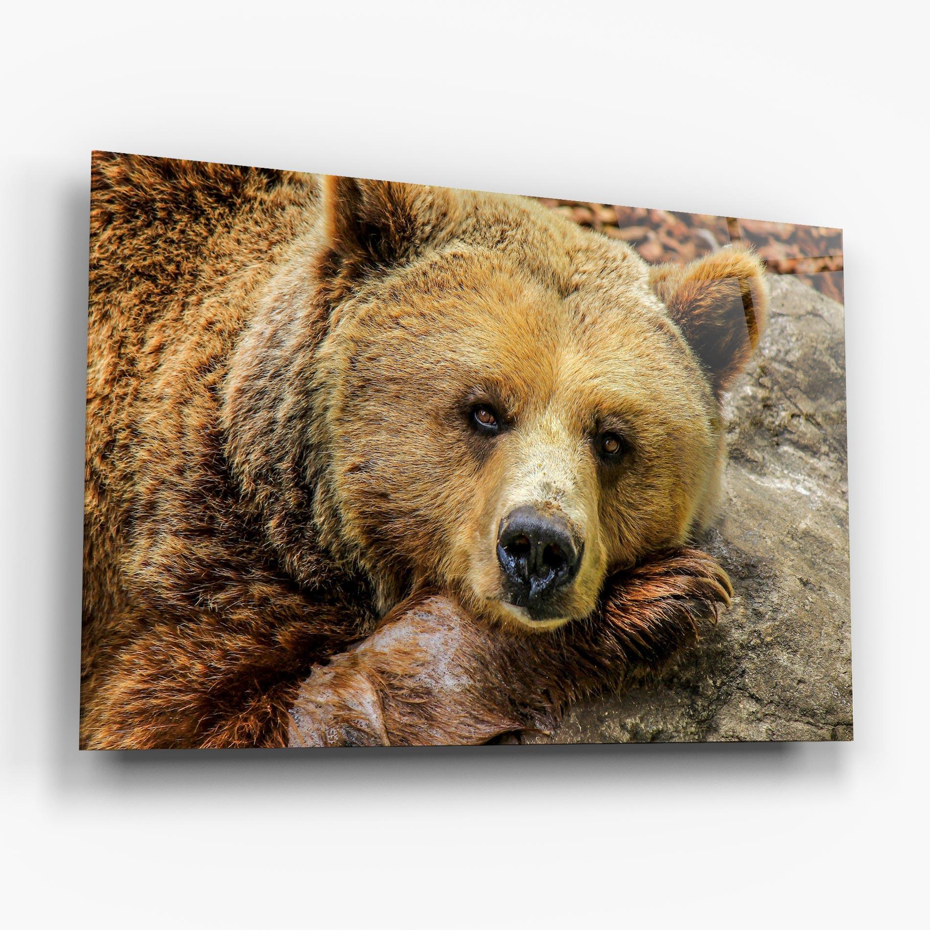 Üvegkép Bear mockup 6